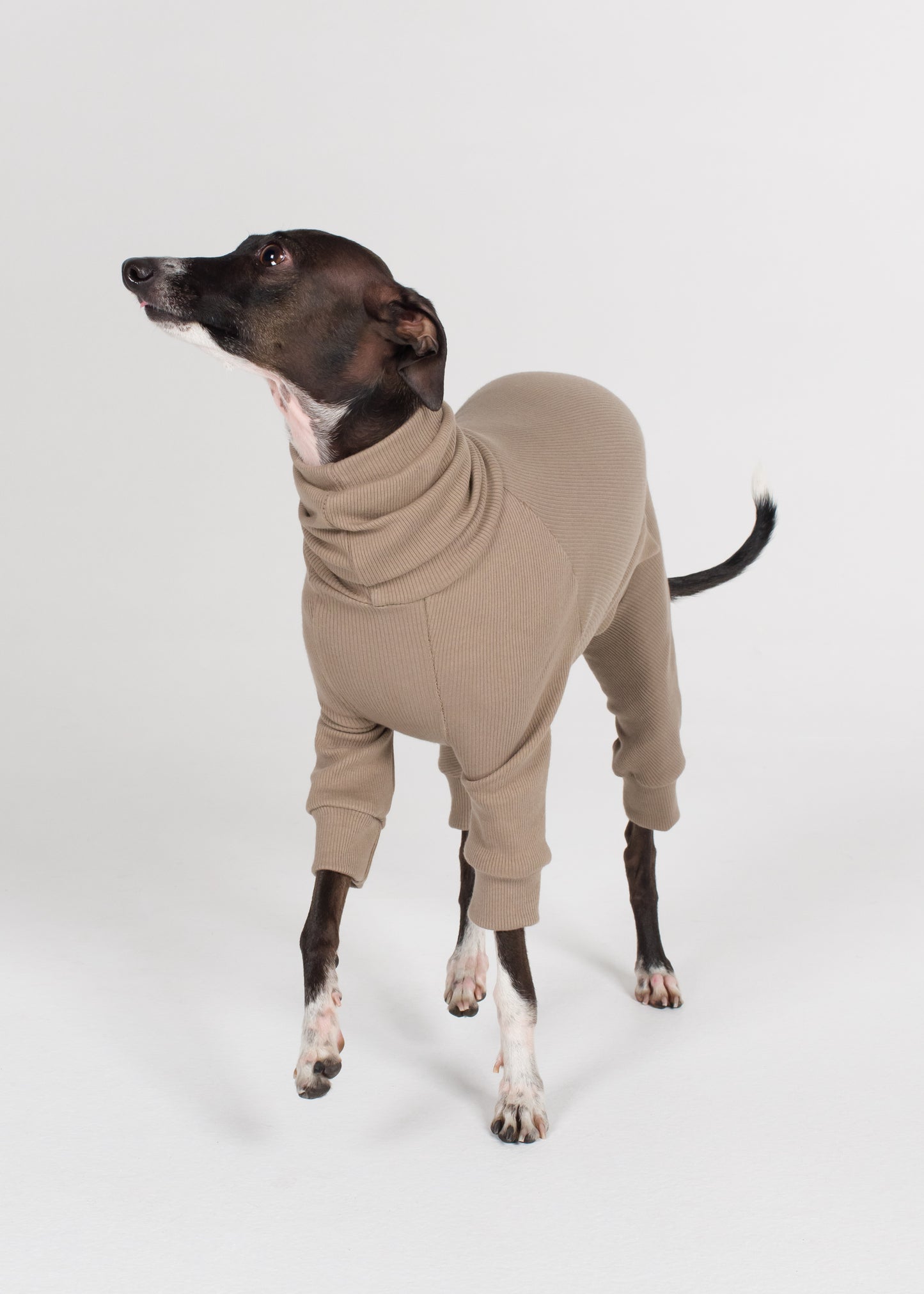 Italian Greyhound Rib Full Suit - Truffle