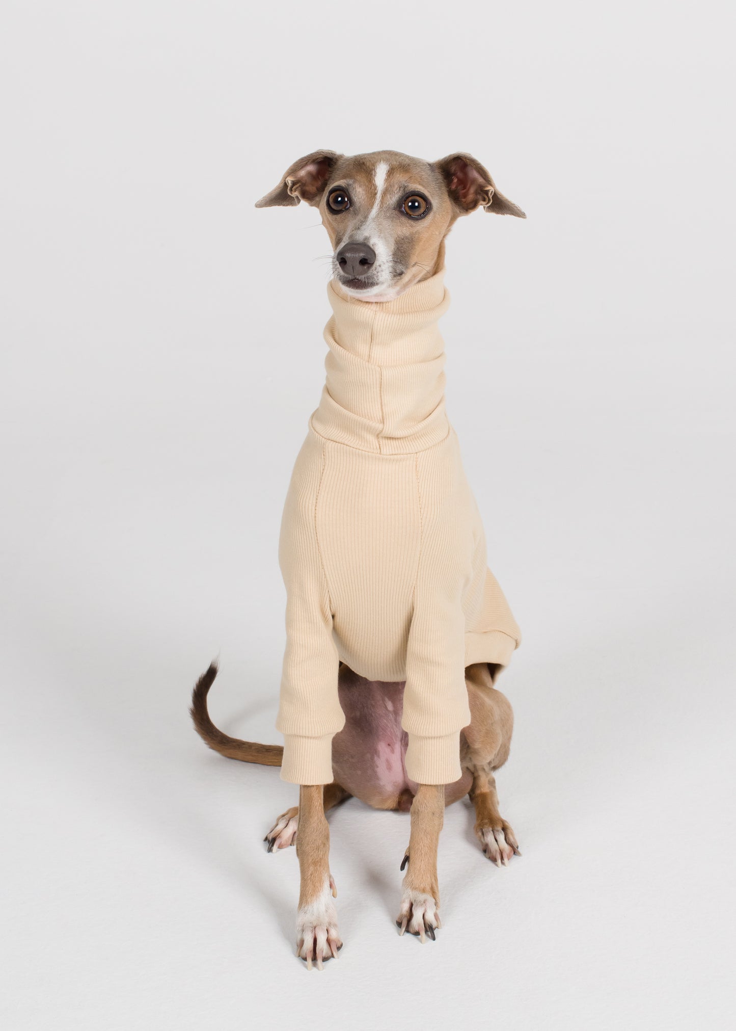 Italian Greyhound Rib Jumper - Nude