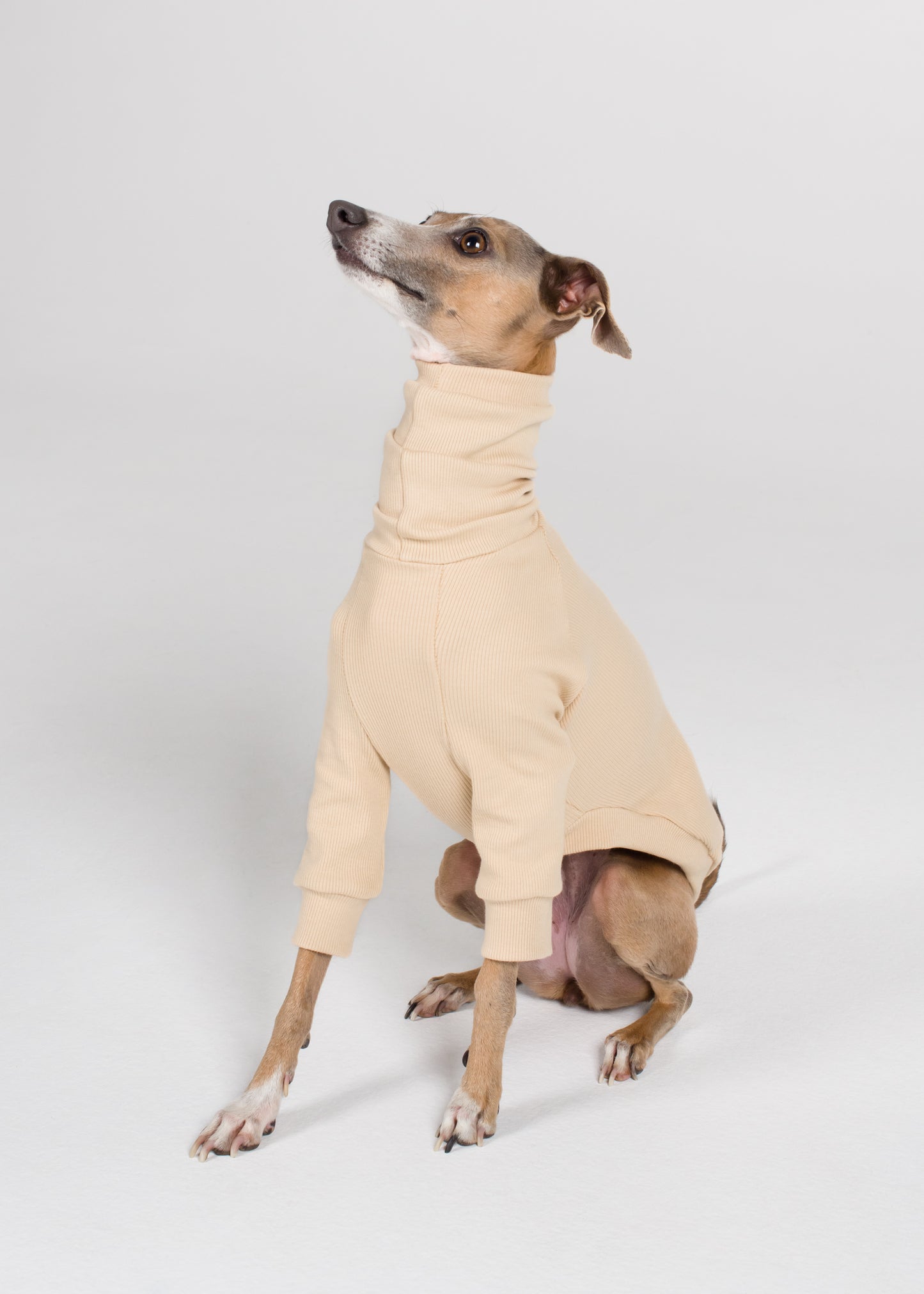 Italian Greyhound Rib Jumper - Nude