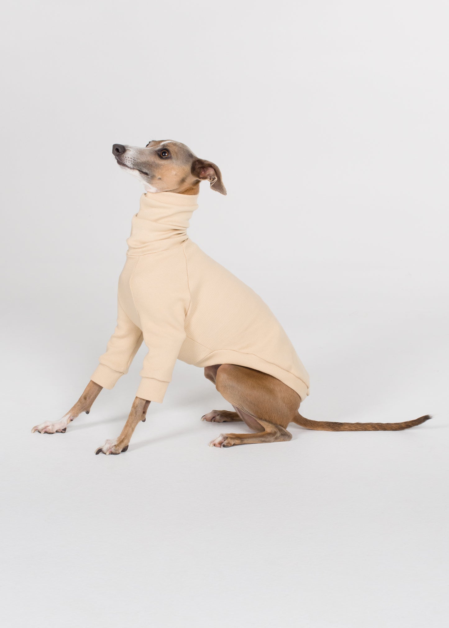 Italian Greyhound Rib Jumper - Nude