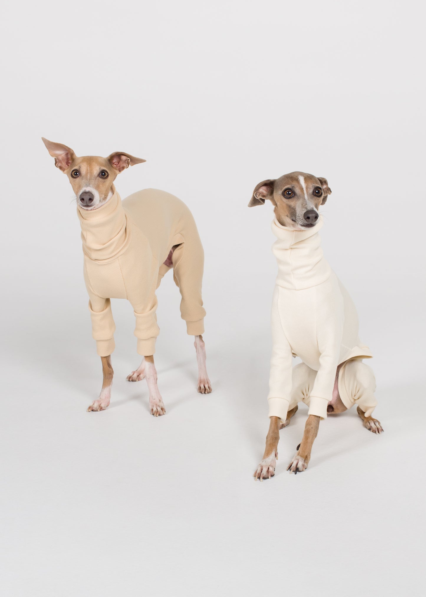 Italian Greyhound Rib Full Suit - Ivory