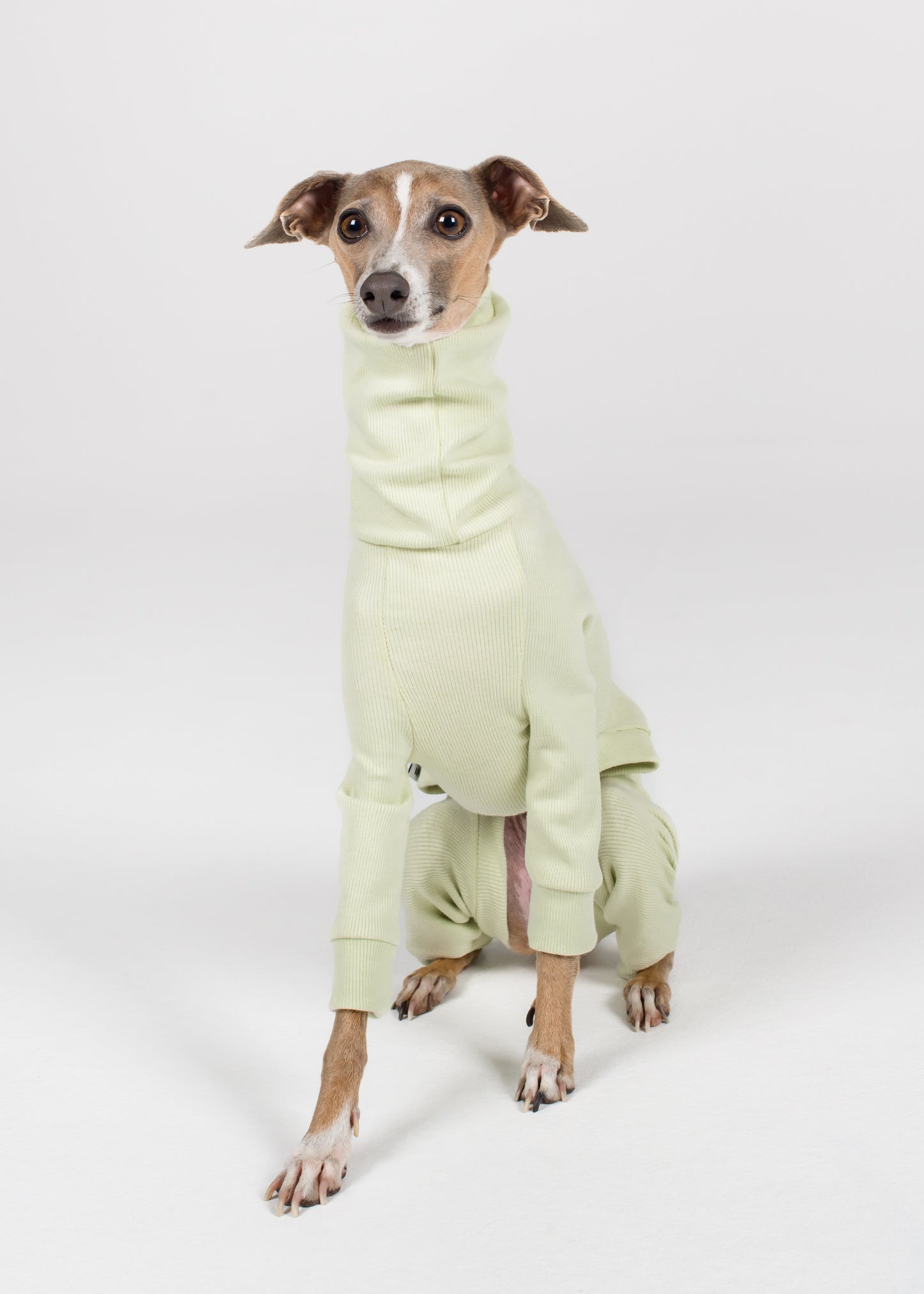 Italian Greyhound Rib Full Suit - Melon