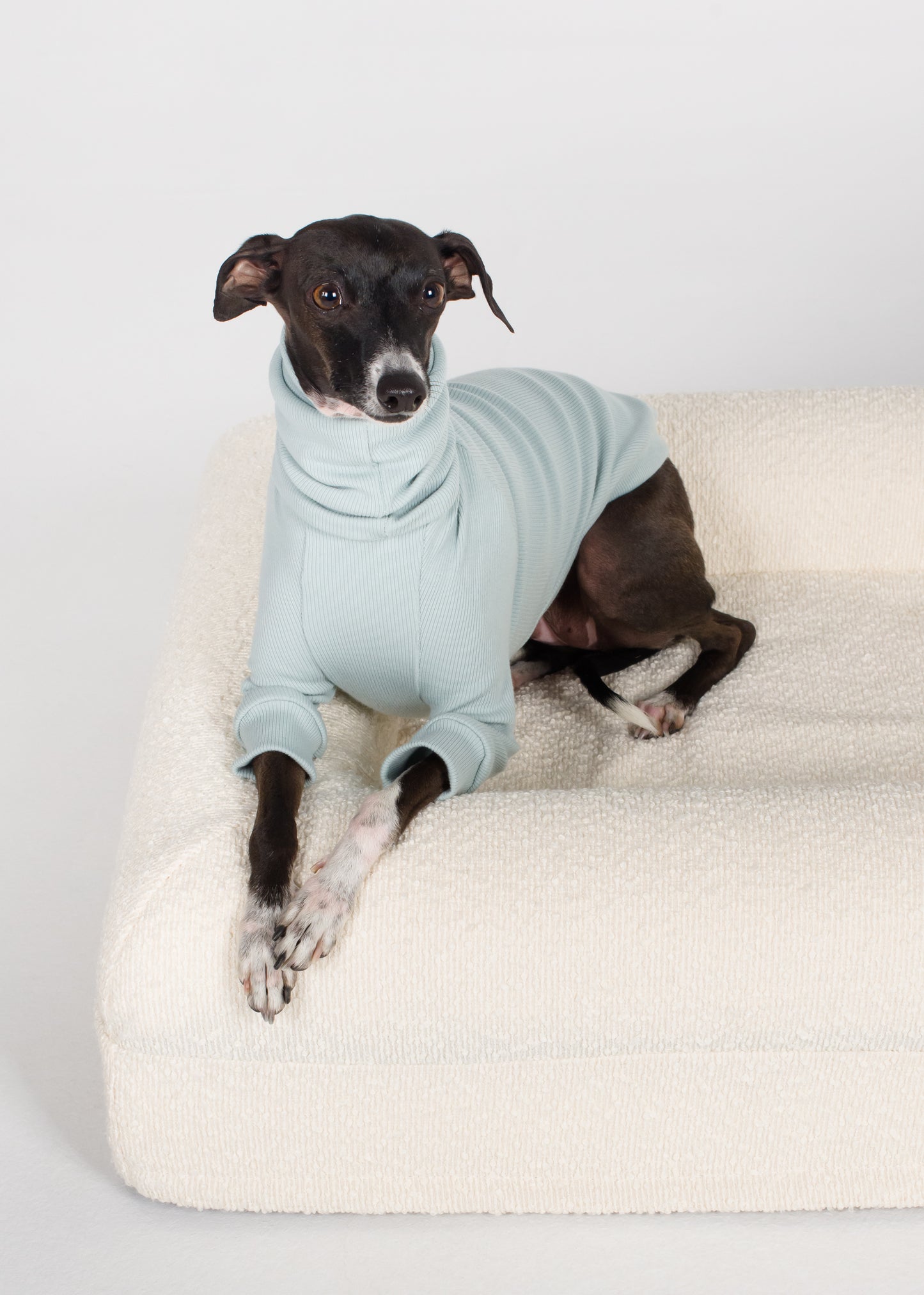 Italian Greyhound Rib Jumper - Sky