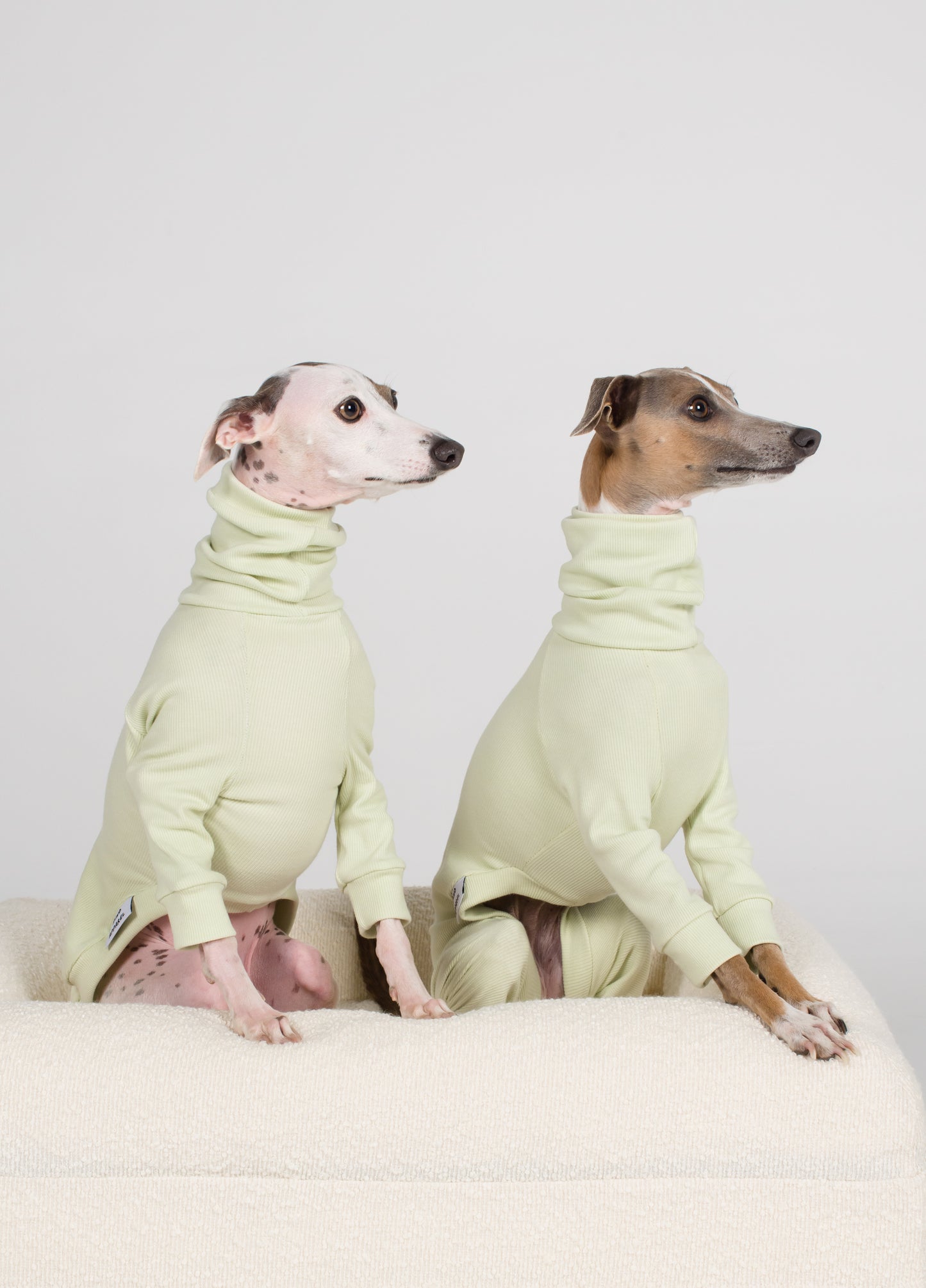 Italian Greyhound Rib Jumper - Melon