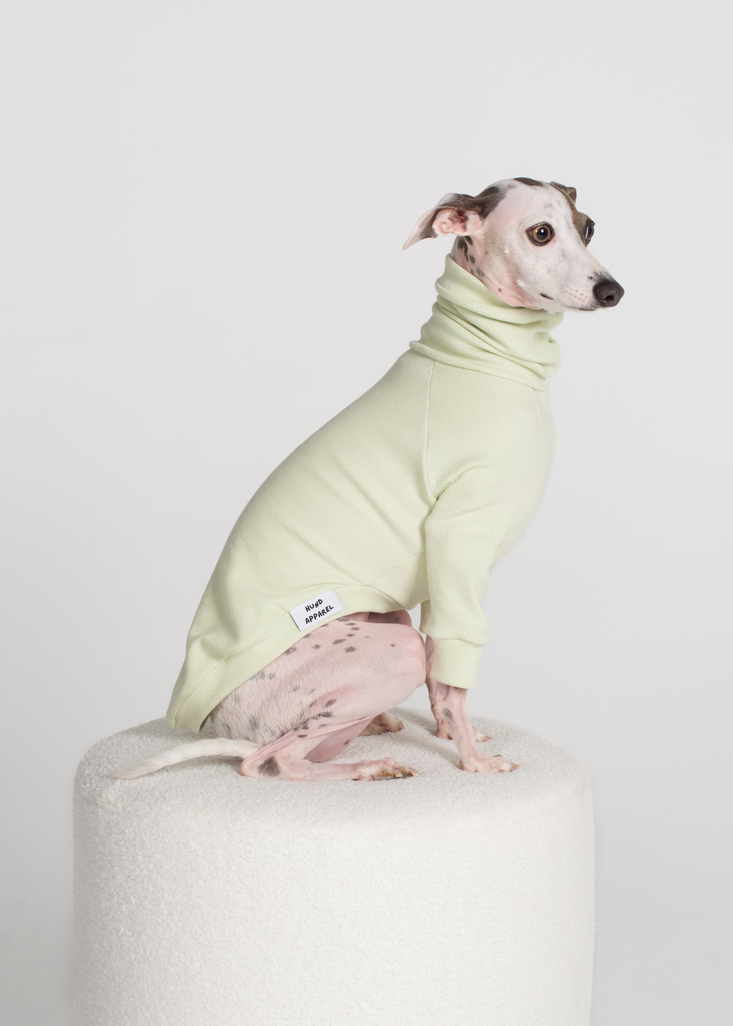 Italian Greyhound Rib Jumper - Melon