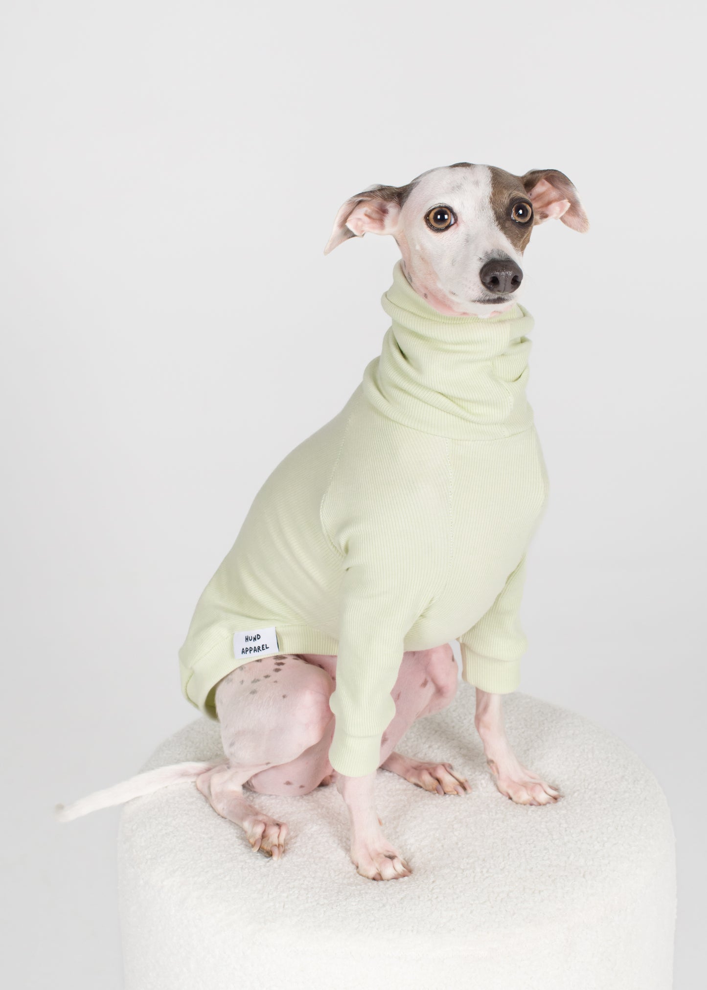 Italian Greyhound Rib Jumper - Melon