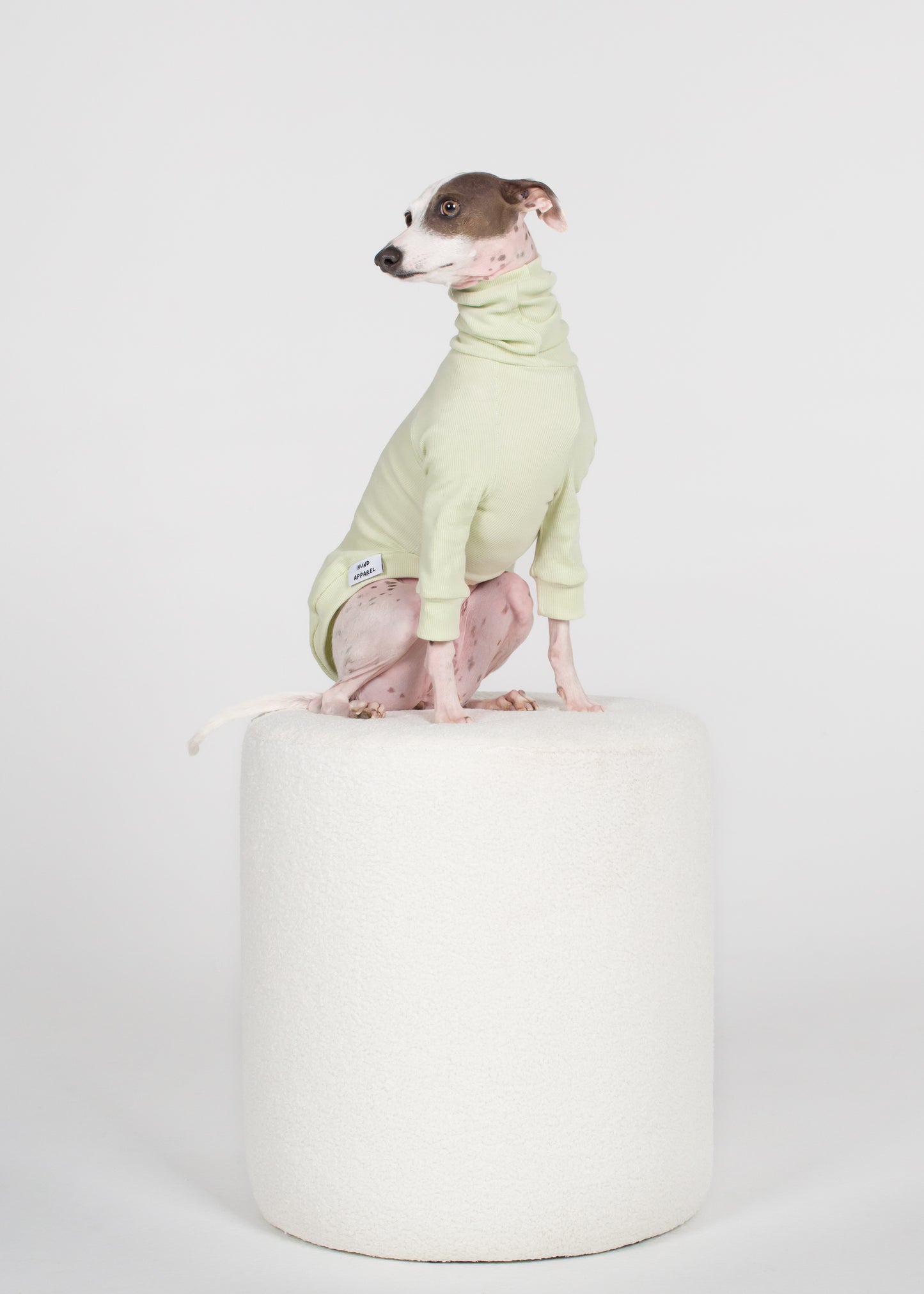 Italian Greyhound Rib Jumper - Melon