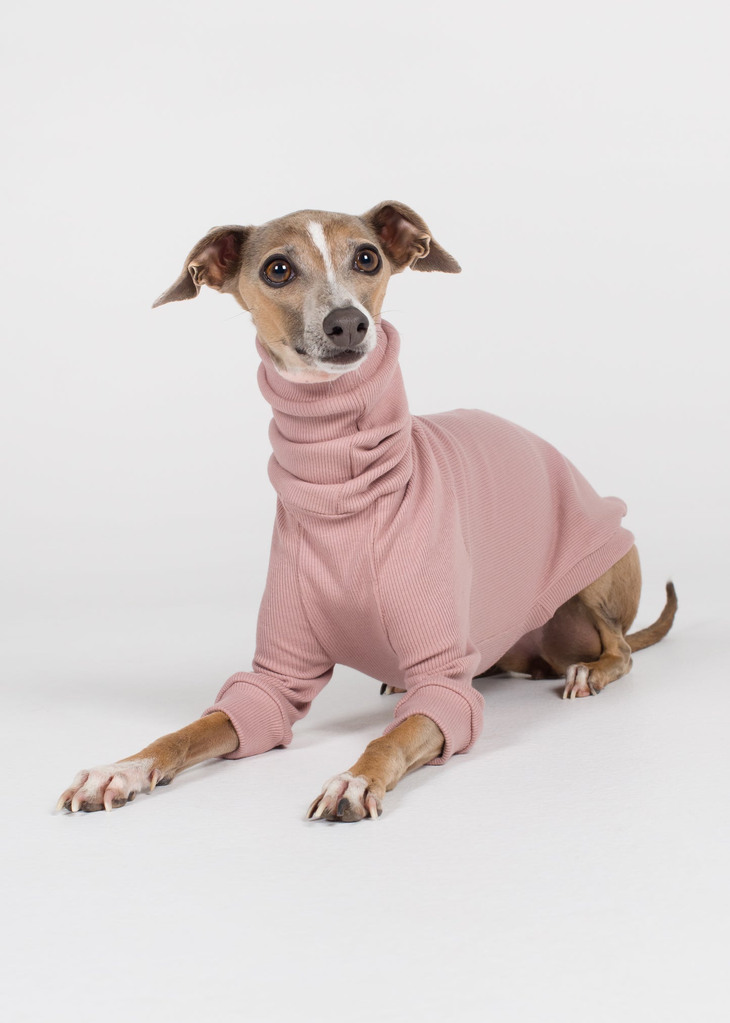 Italian Greyhound Rib Jumper - Orchid