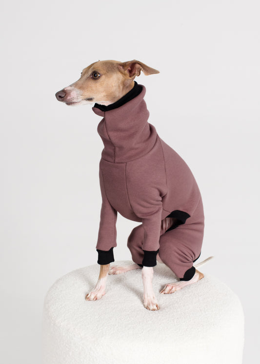 Italian Greyhound Winter Full Suit - Blush