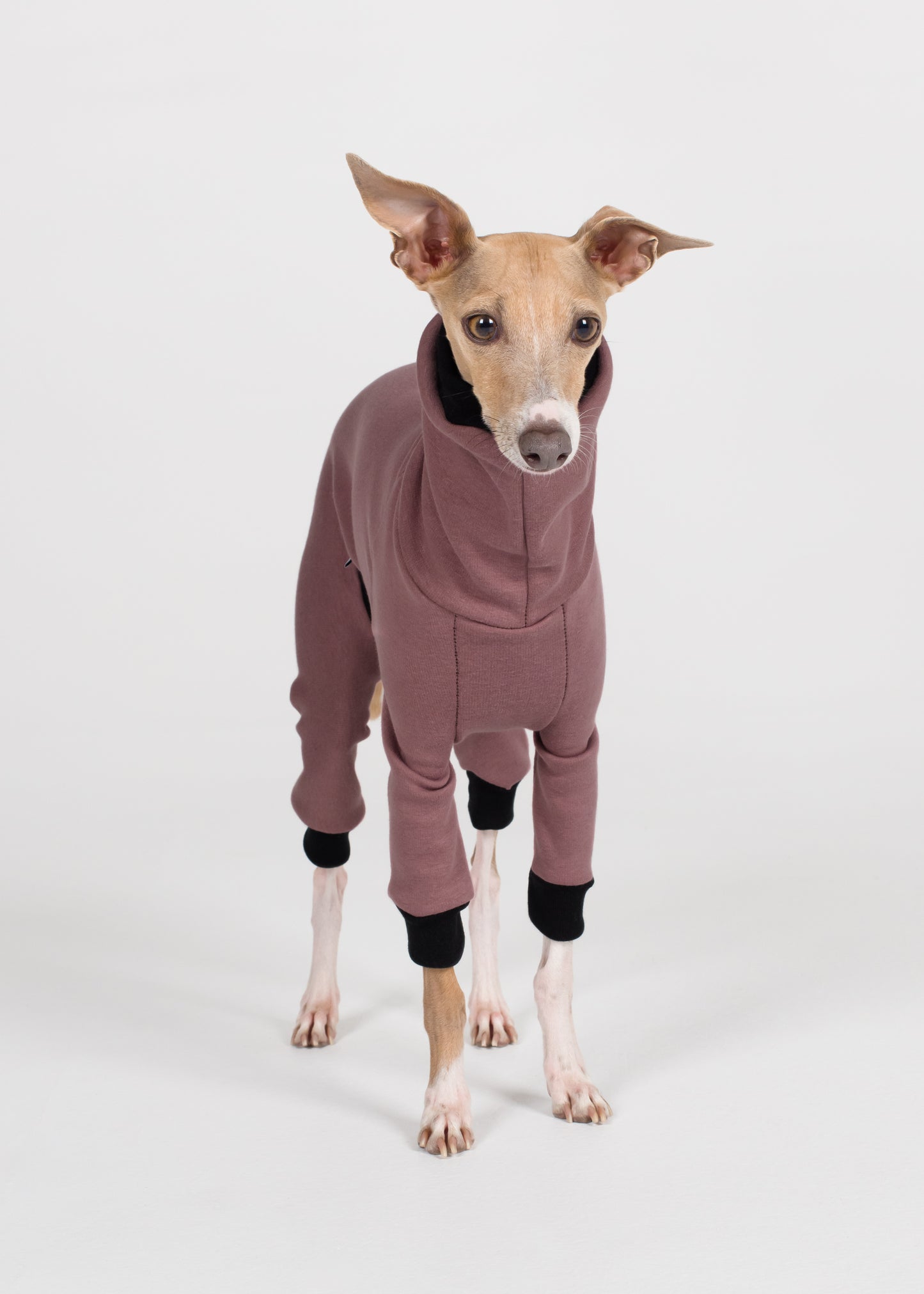 Italian Greyhound Winter Full Suit - Blush