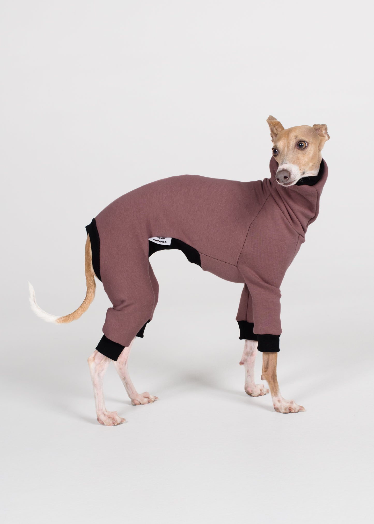 Italian Greyhound Winter Full Suit - Blush