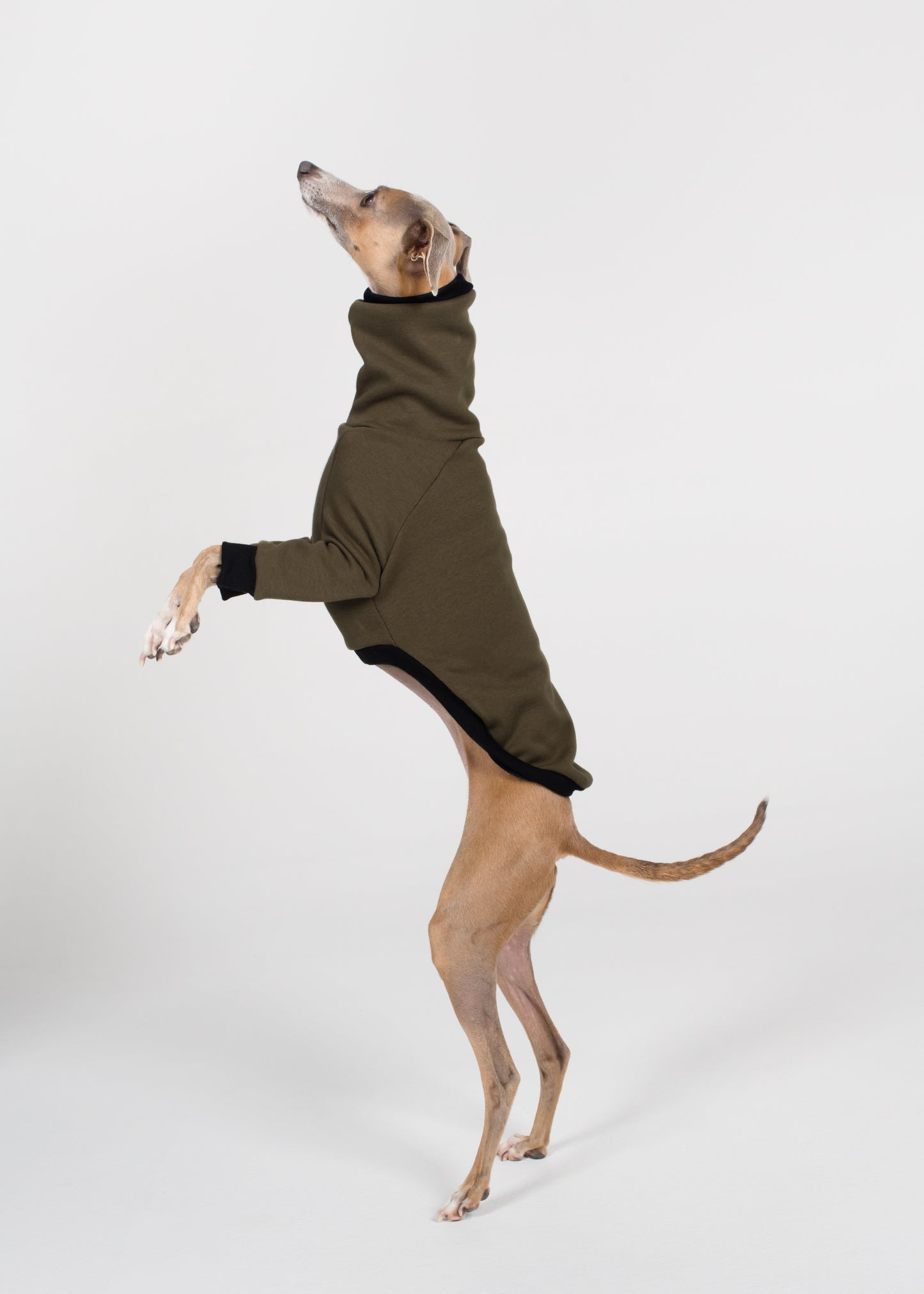 Italian Greyhound Winter Jumper - Khaki