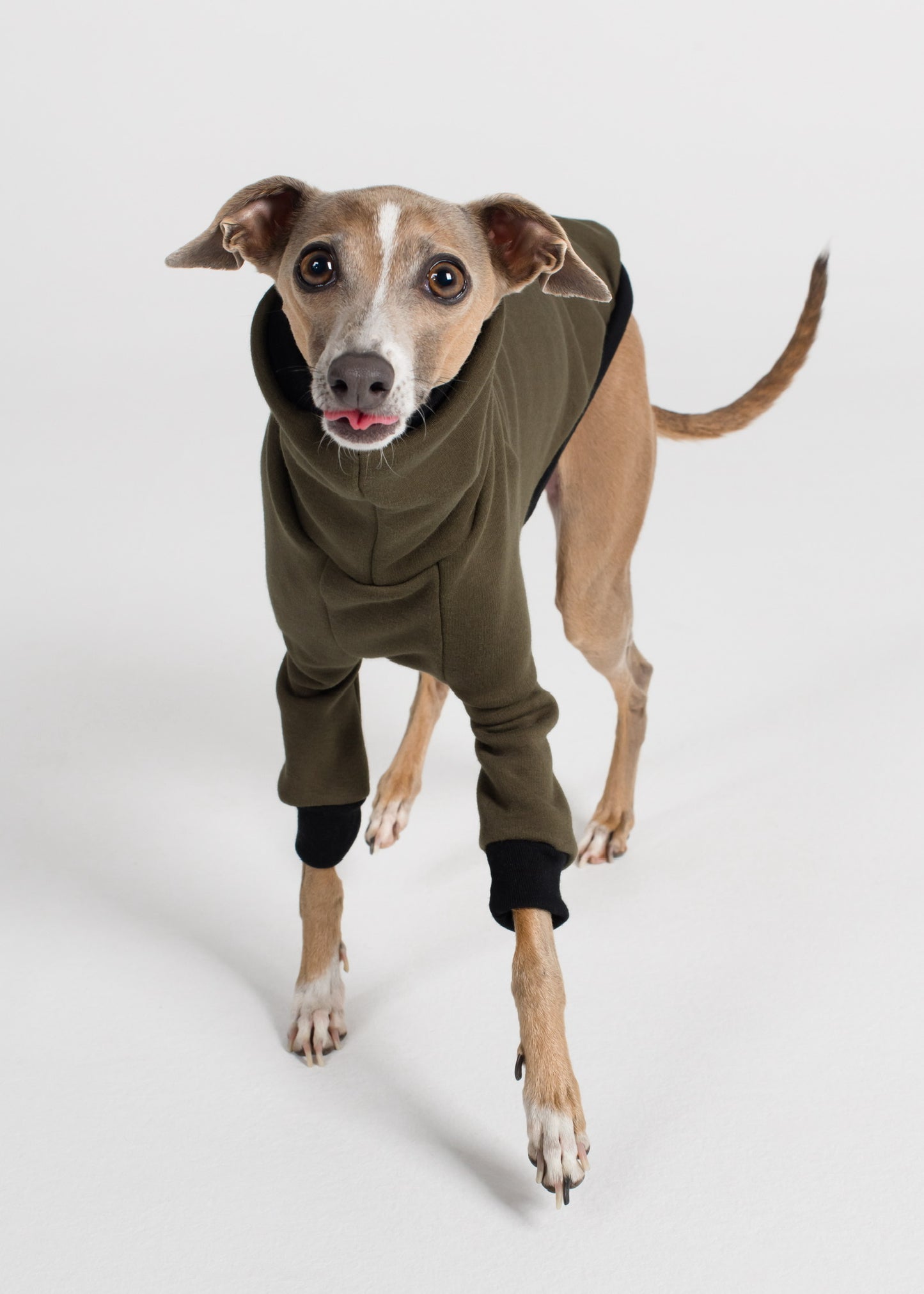 Italian Greyhound Winter Jumper - Khaki