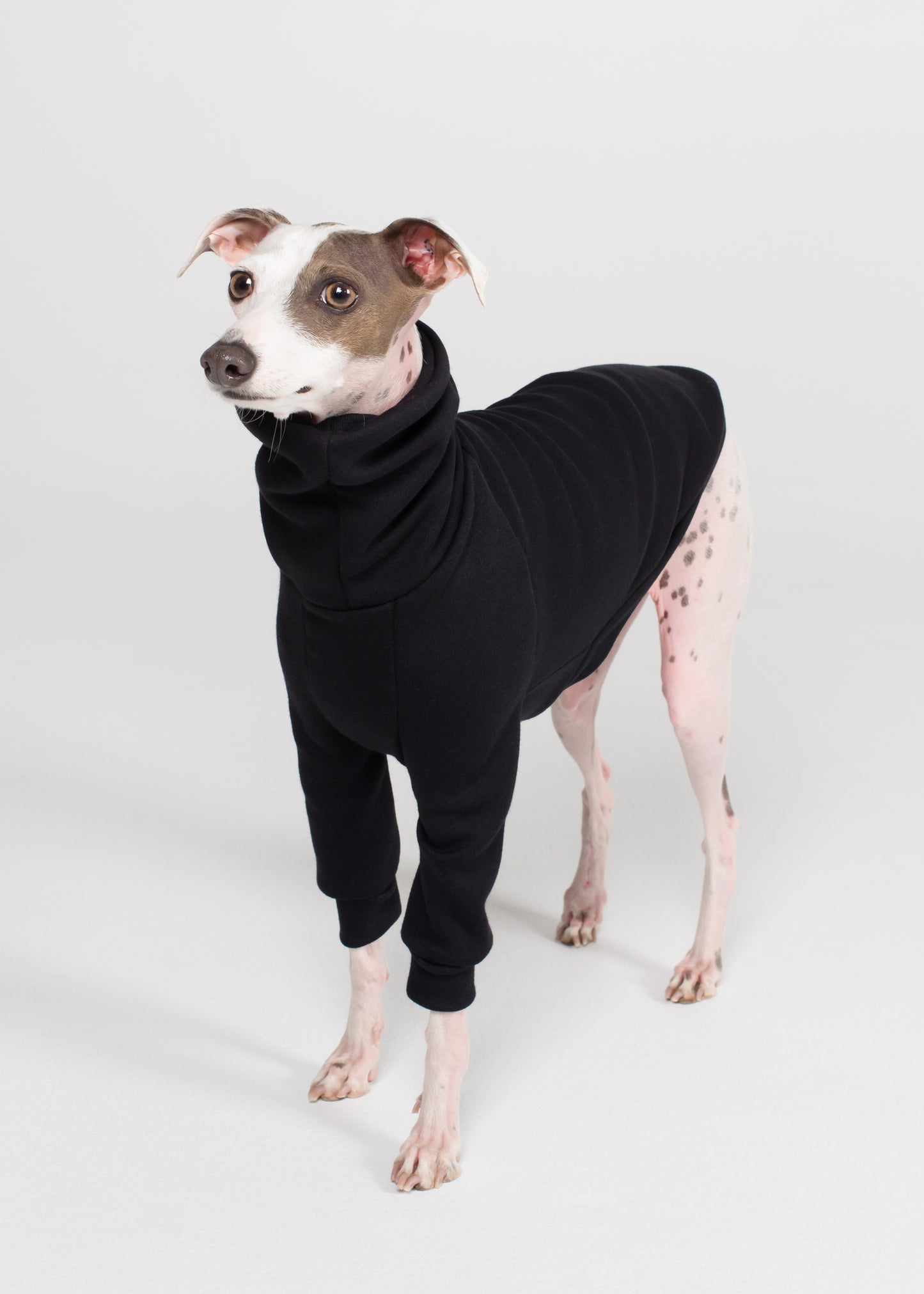 Italian Greyhound Winter Jumper - Black