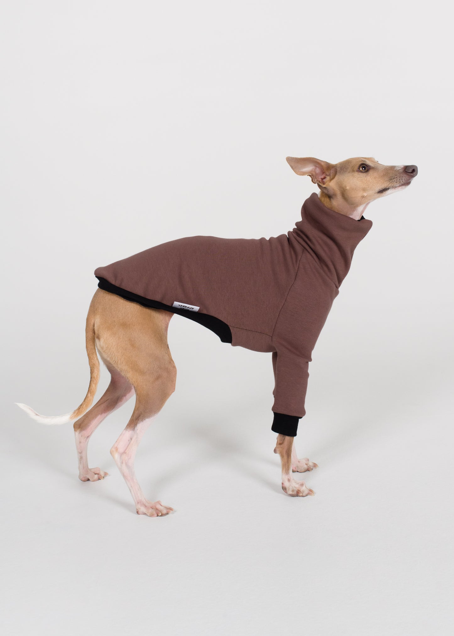 Italian Greyhound Winter Jumper - Cocoa