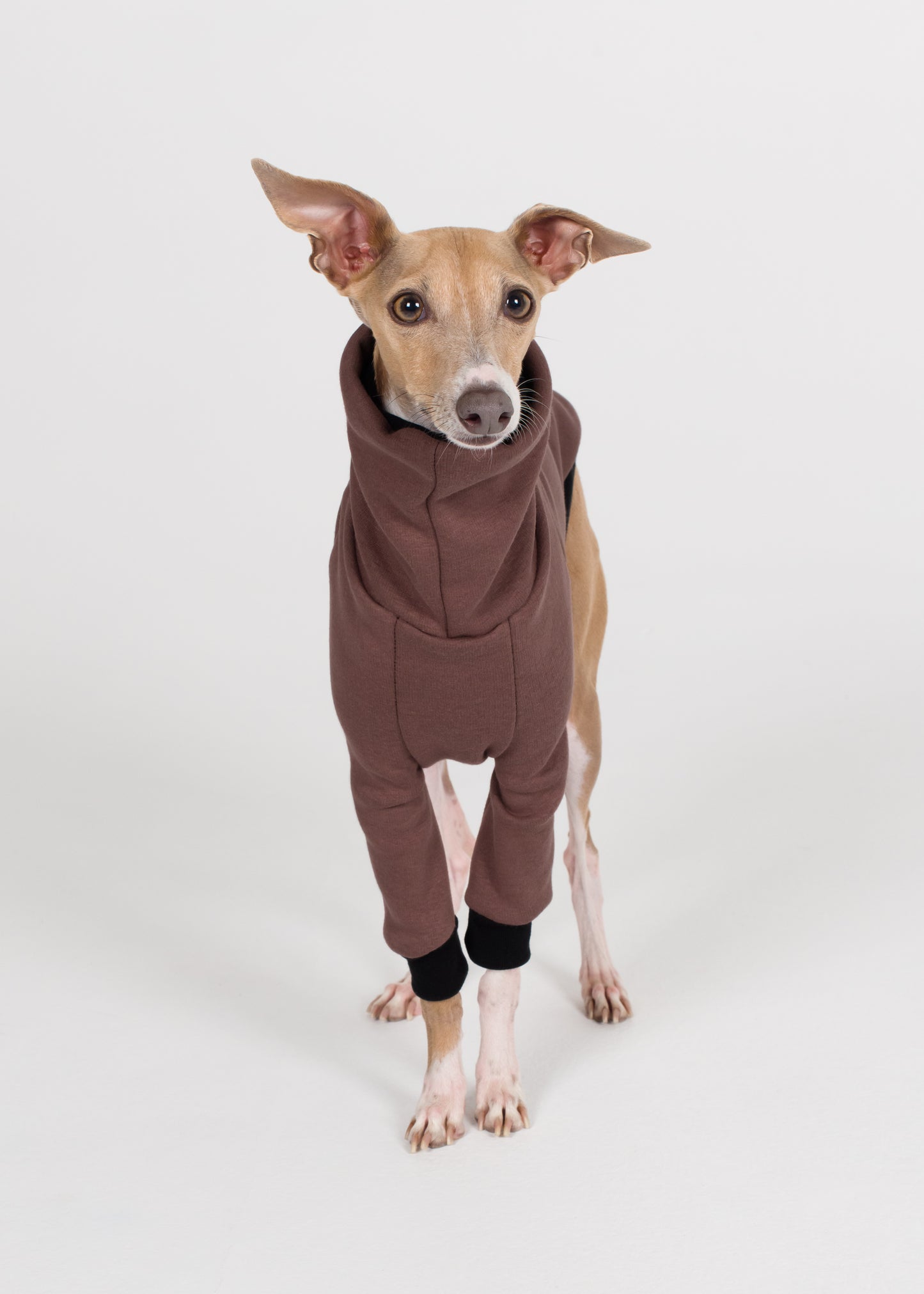 Italian Greyhound Winter Jumper - Cocoa