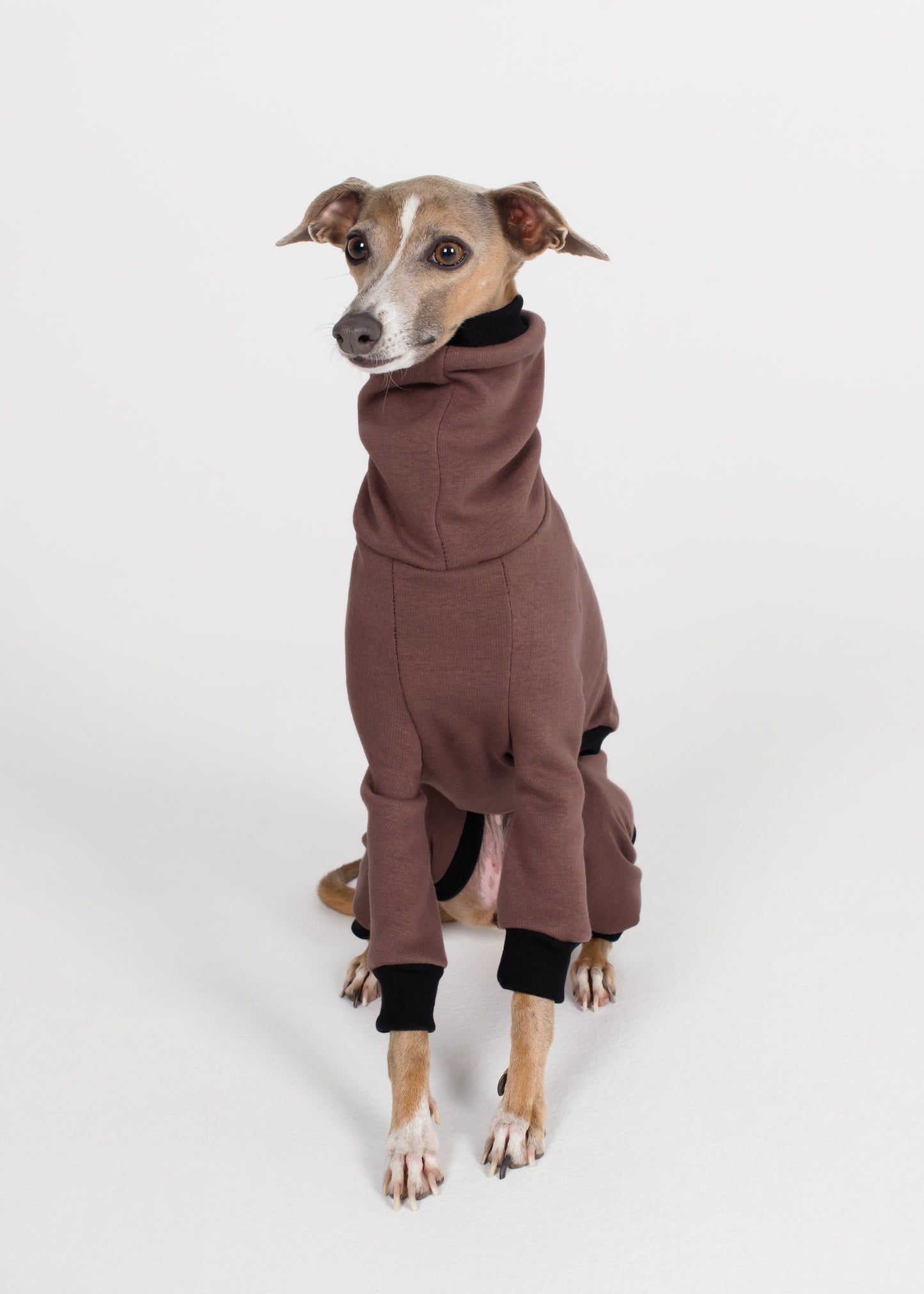 Italian Greyhound Winter Full Suit - Cocoa