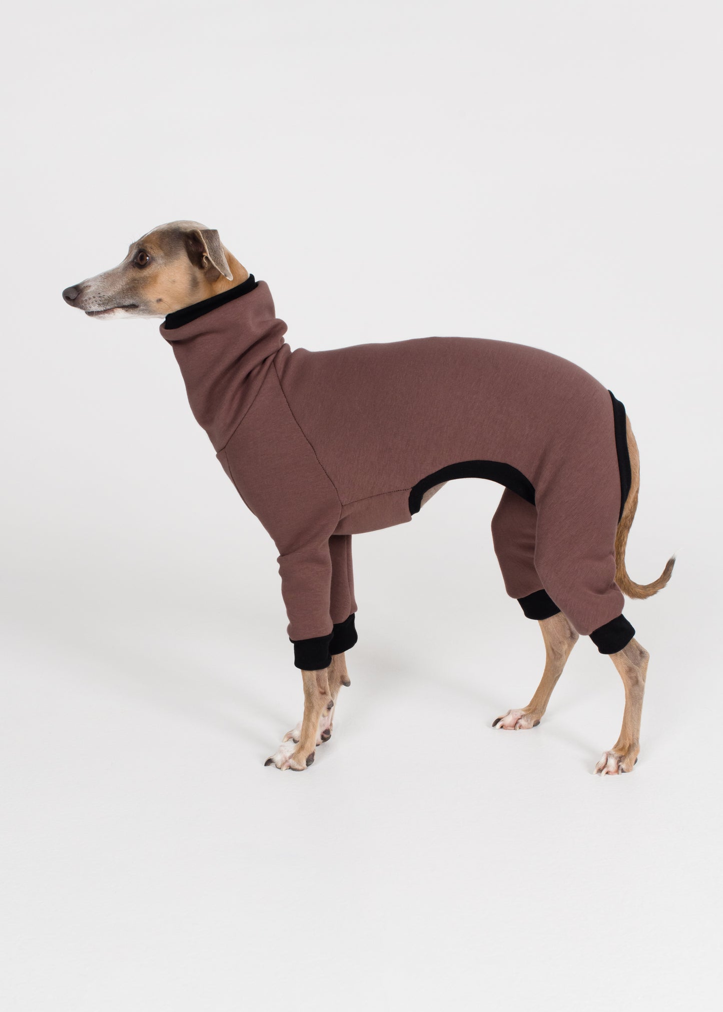 Italian Greyhound Winter Full Suit - Cocoa