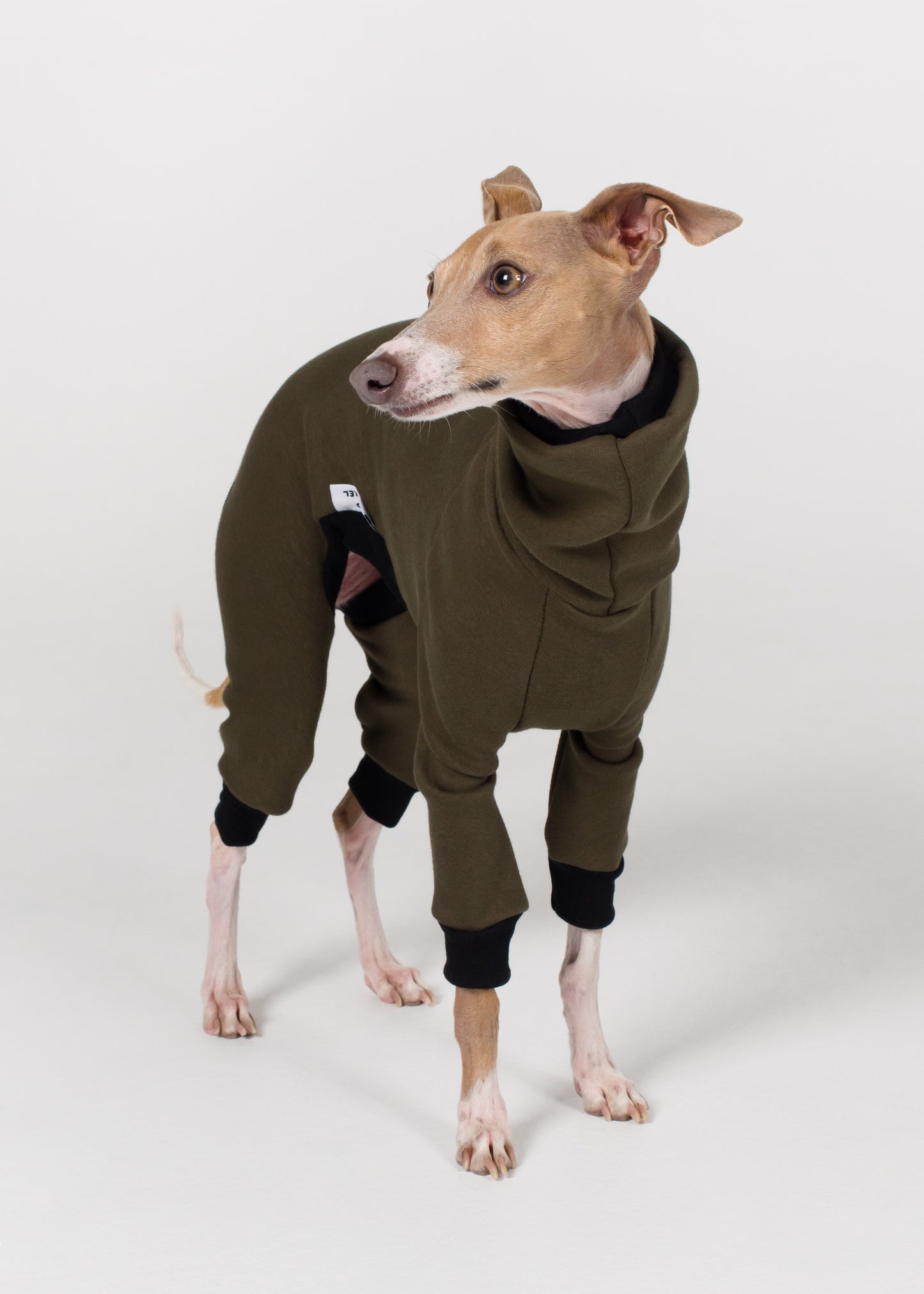 Italian Greyhound Winter Full Suit - Khaki