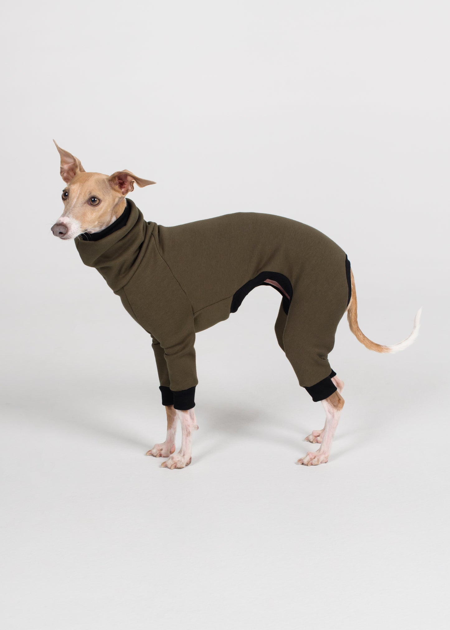 Italian Greyhound Winter Full Suit - Khaki