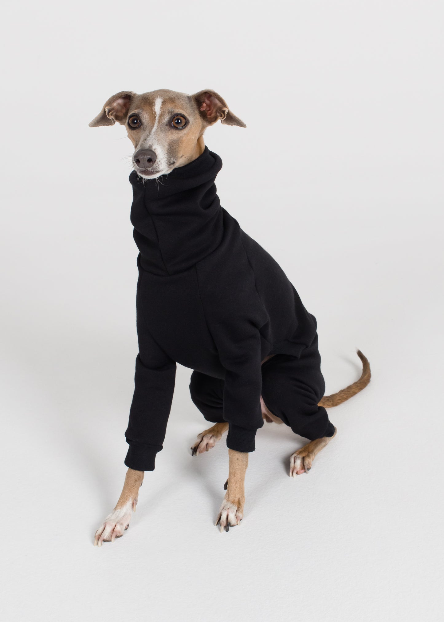 Italian Greyhound Winter Full Suit - Black