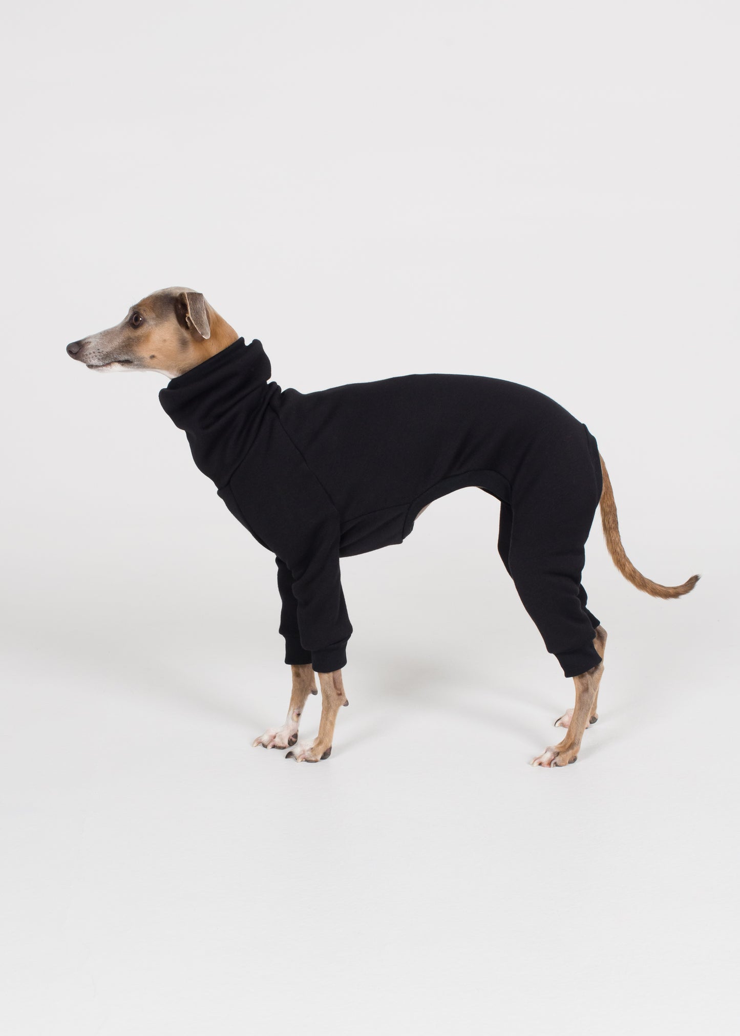 Italian Greyhound Winter Full Suit - Black