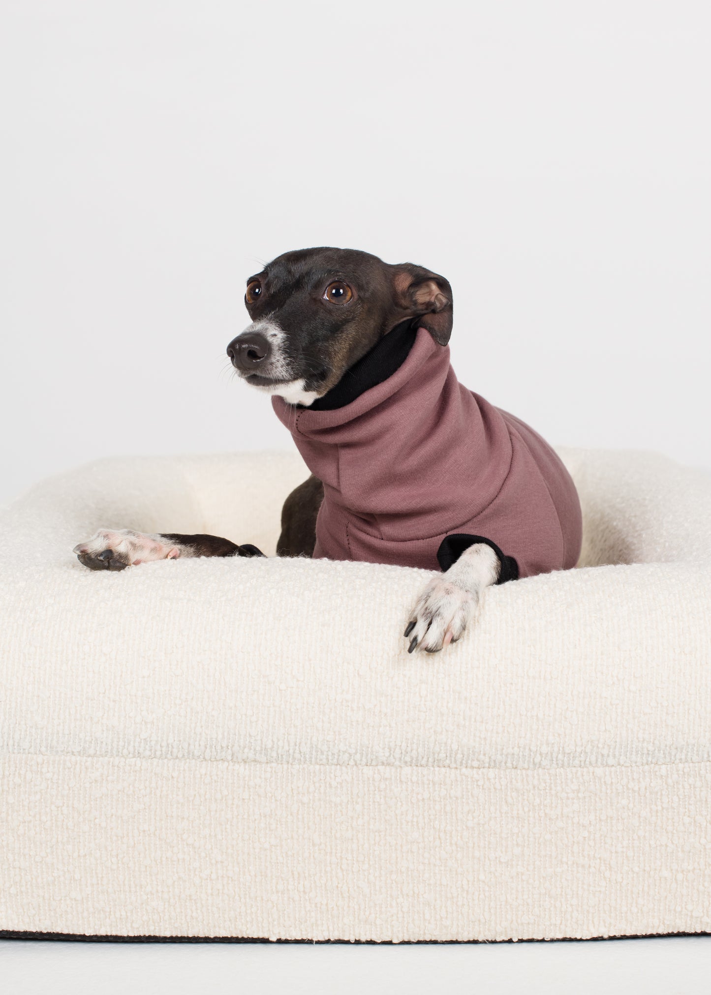 Italian Greyhound Winter Jumper - Blush