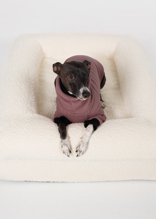 Italian Greyhound Winter Jumper - Blush