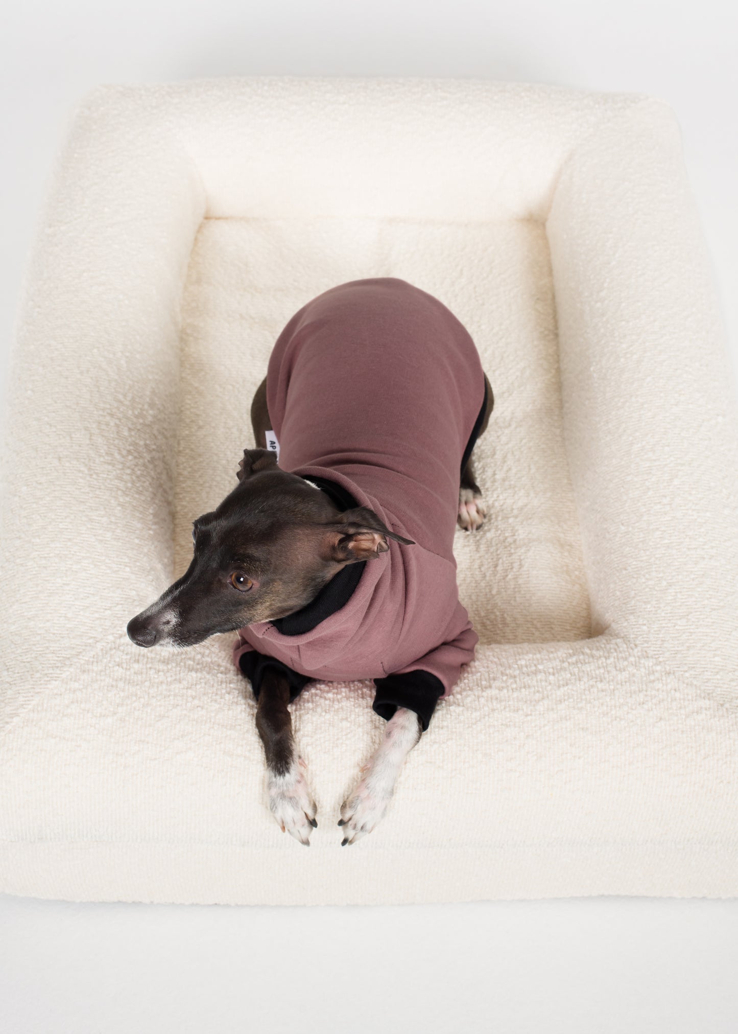 Italian Greyhound Winter Jumper - Blush