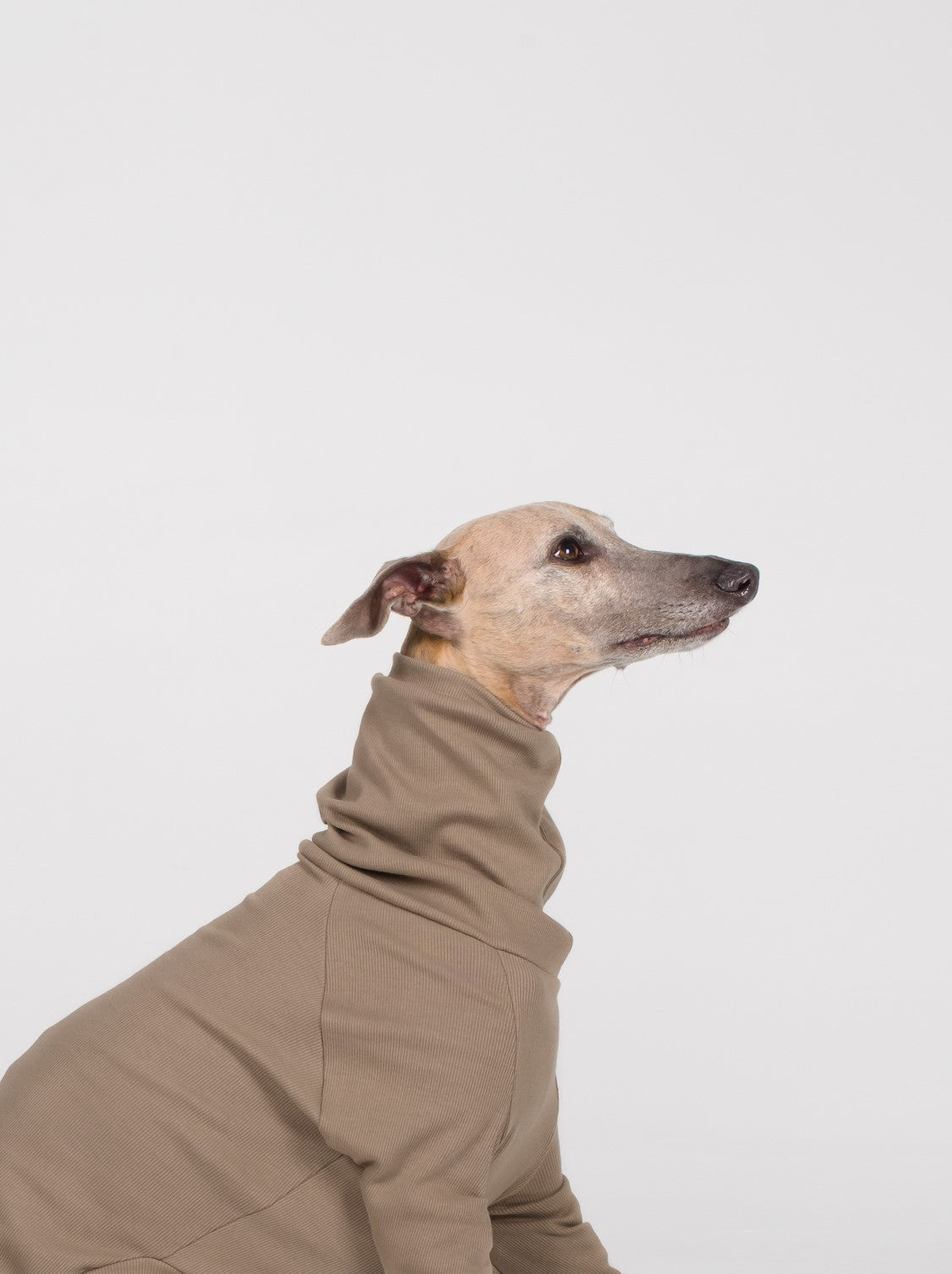 Whippet Rib Full Suit - Truffle