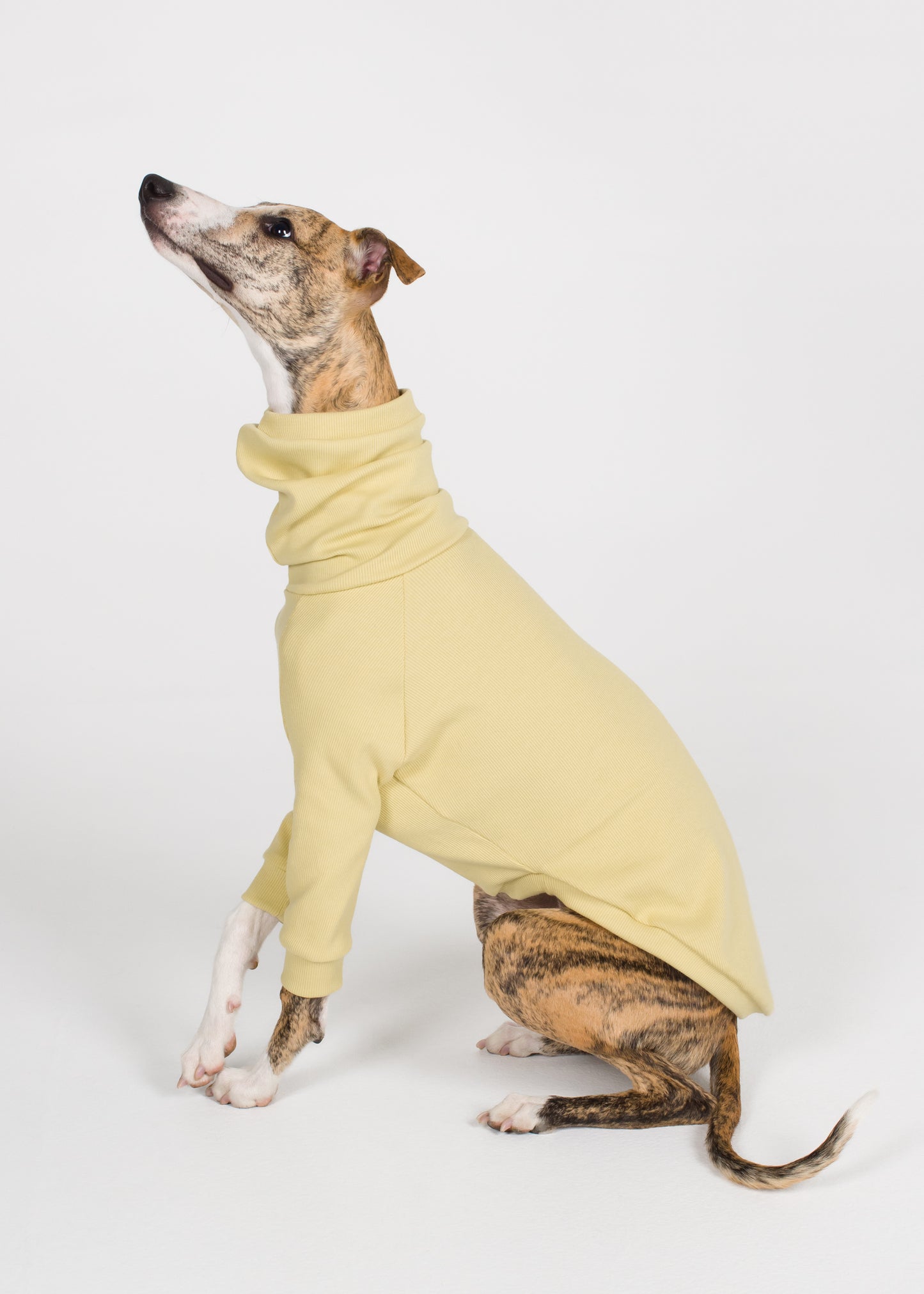 Whippet Rib Jumper - Buttercup