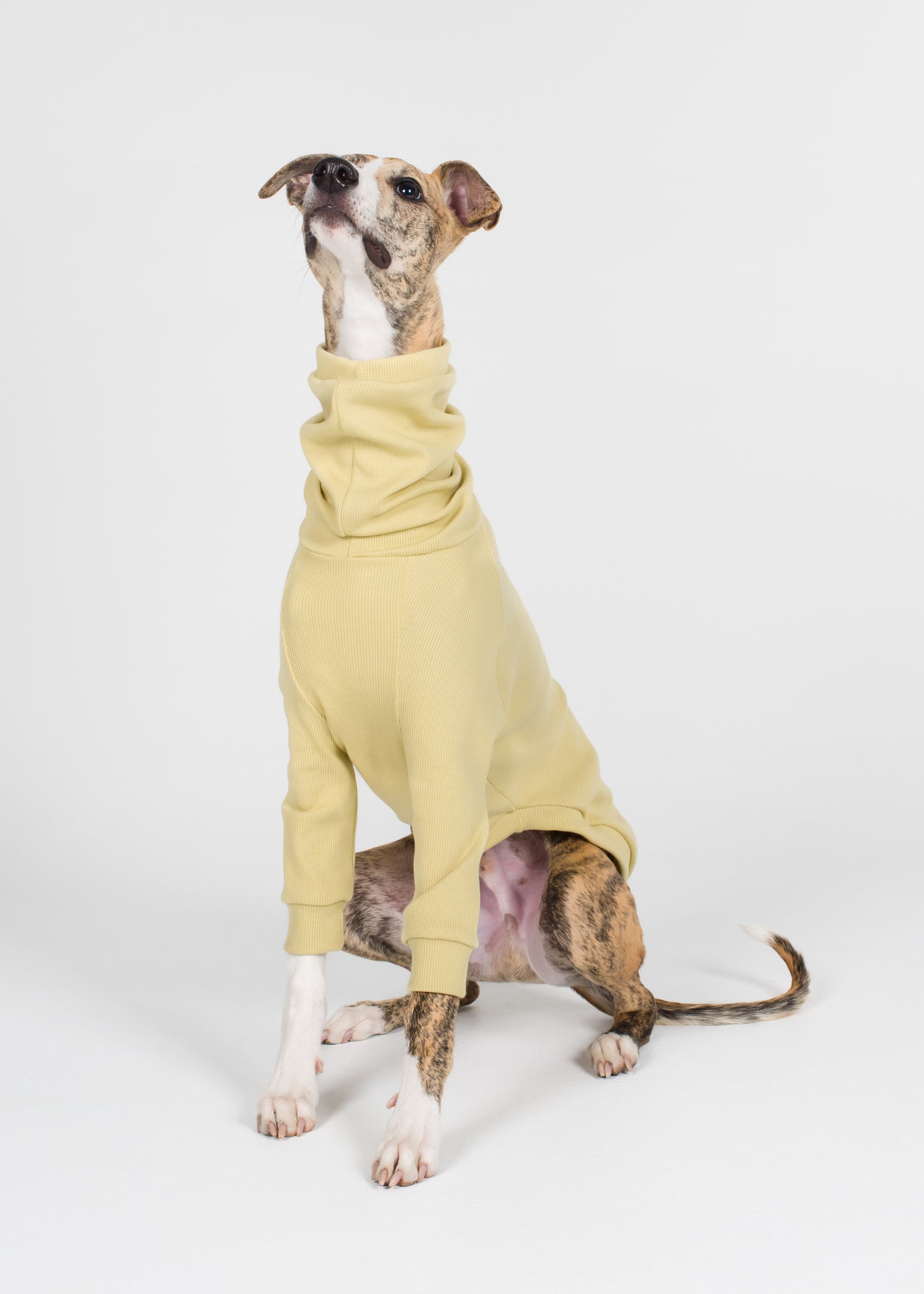 Whippet Rib Jumper - Buttercup