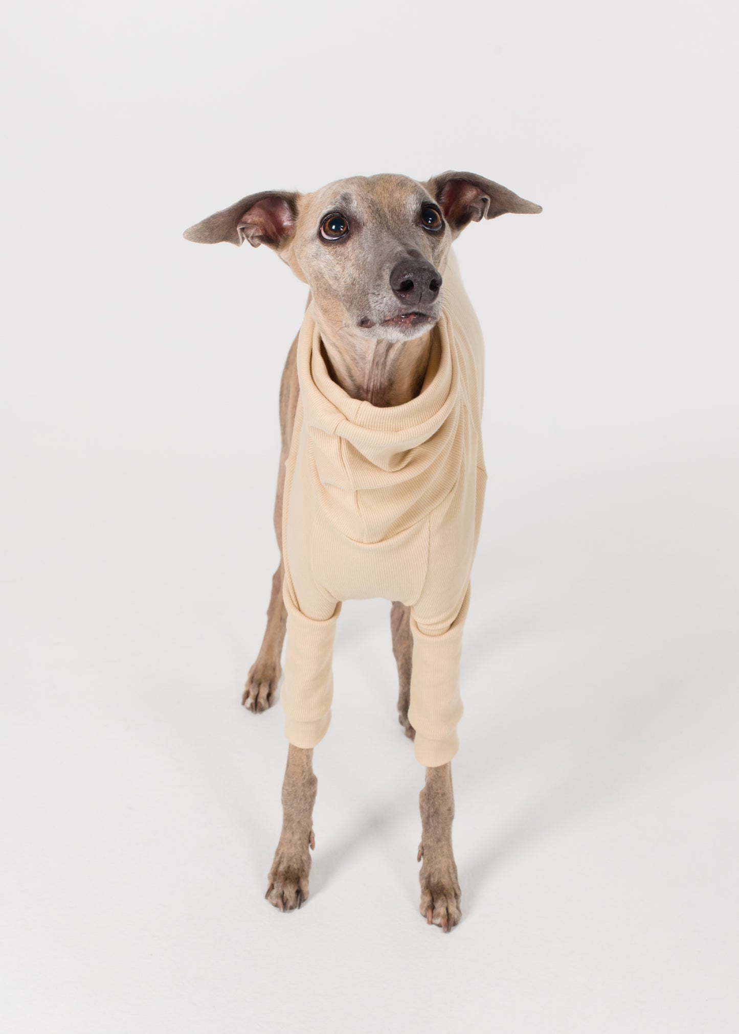 Whippet Rib Jumper - Nude