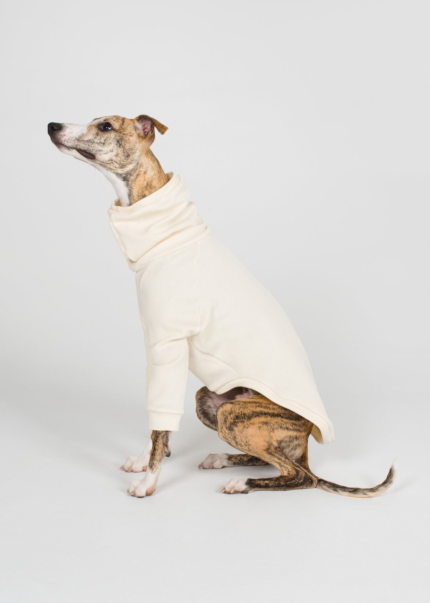 Whippet Rib Jumper - Ivory