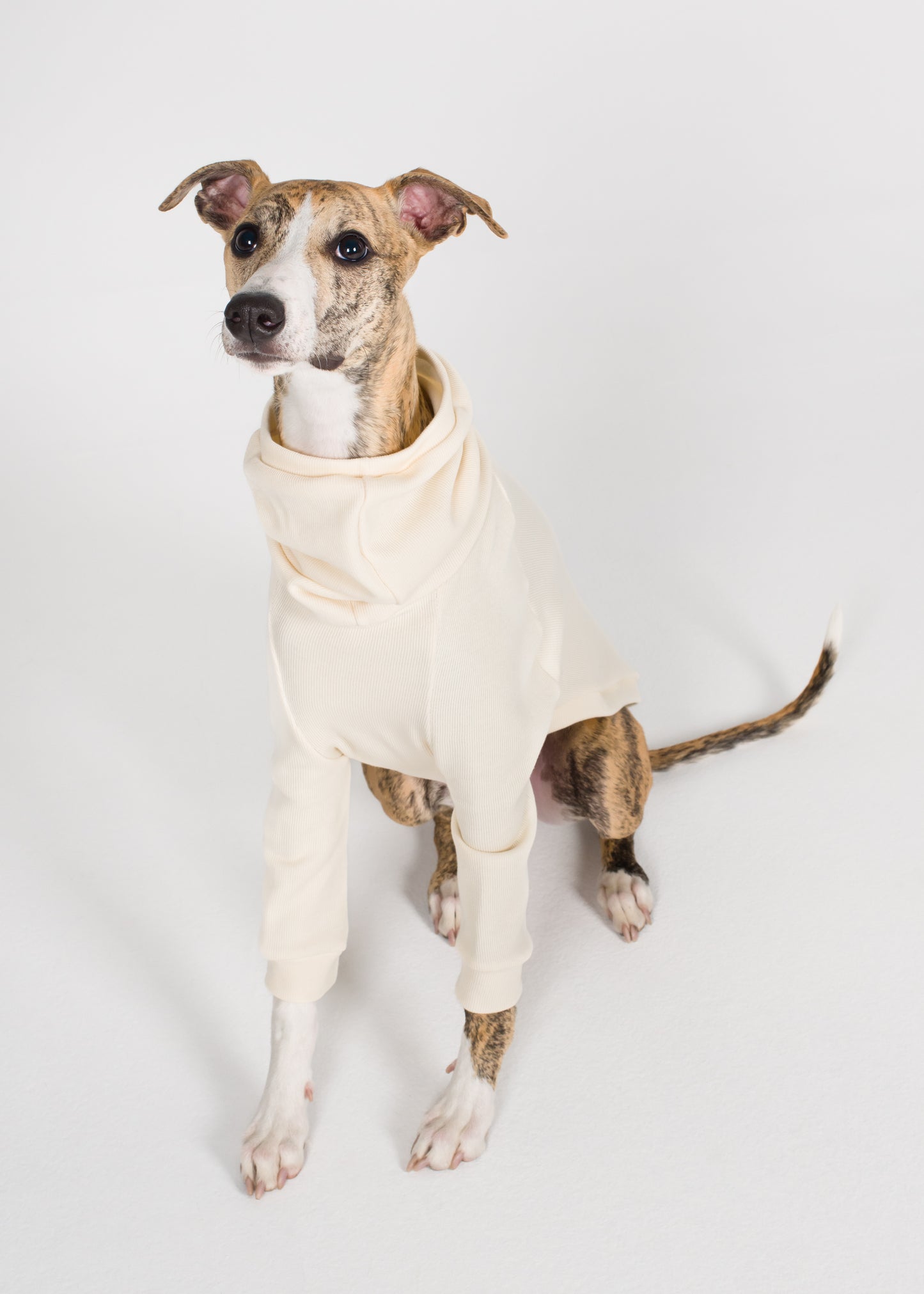 Whippet Rib Jumper - Ivory