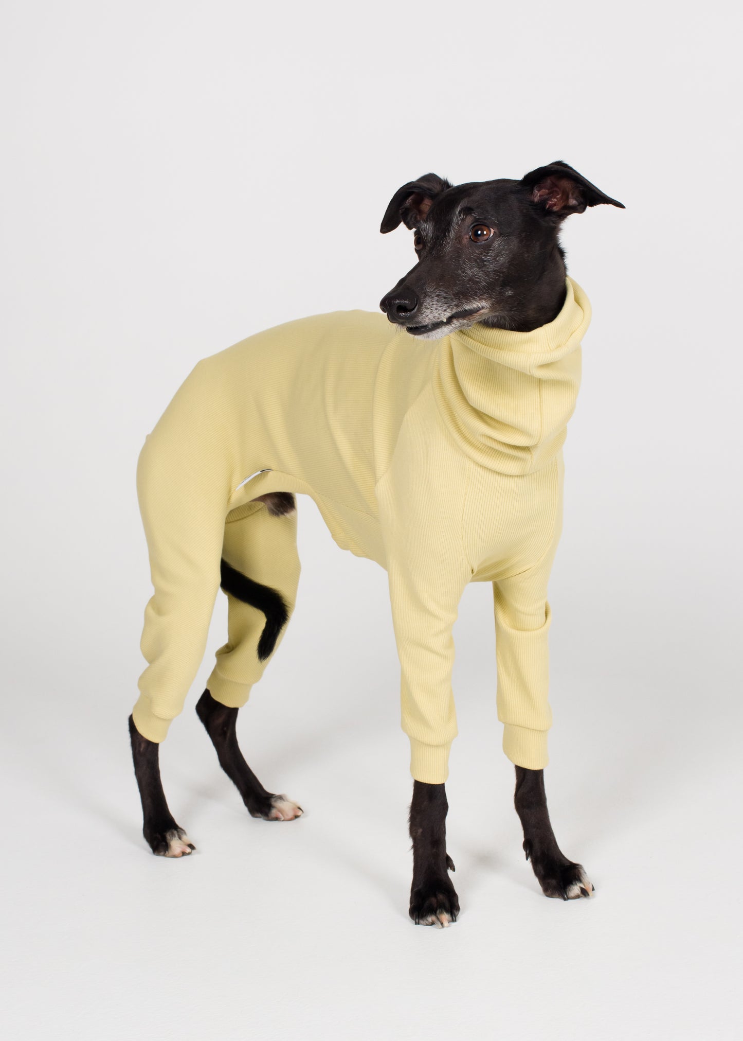 Whippet Rib Full Suit - Buttercup