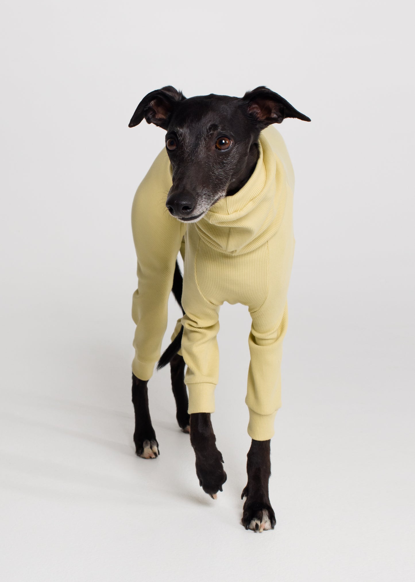 Whippet Rib Full Suit - Buttercup