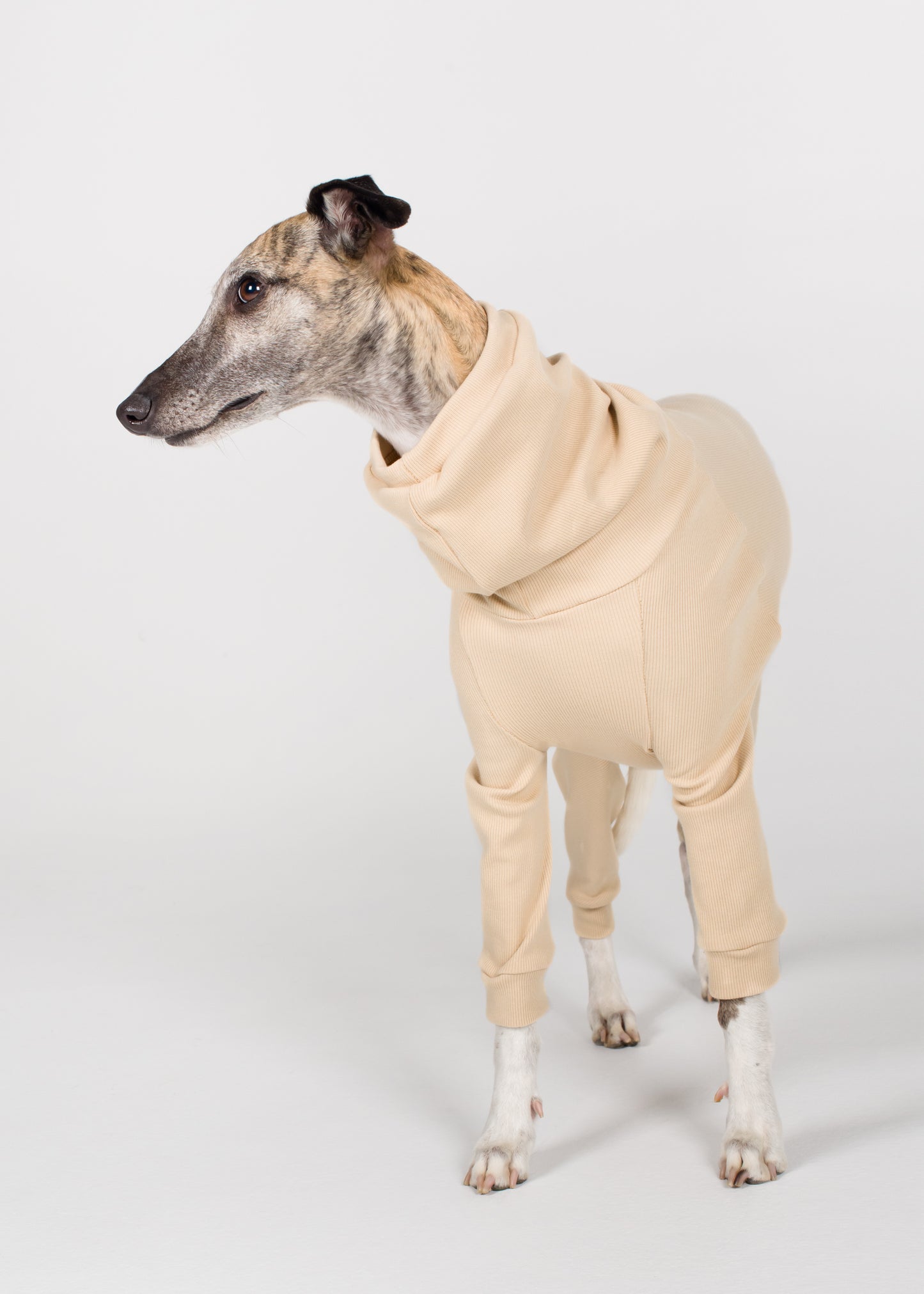 Whippet Rib Full Suit - Nude