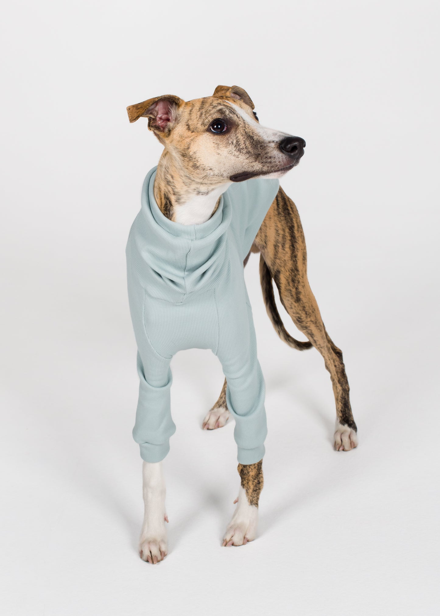 Whippet Rib Jumper - Sky