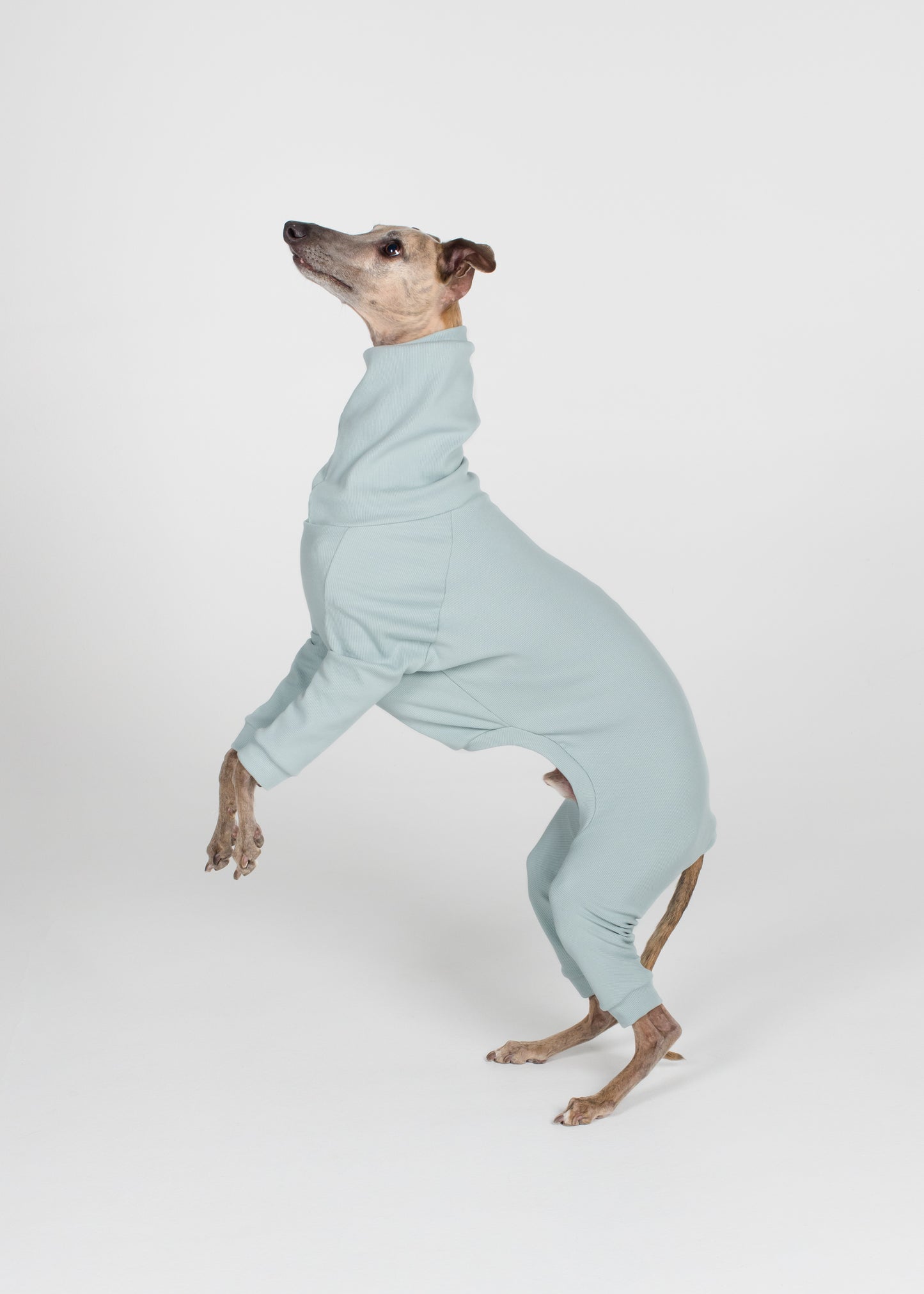 Whippet Rib Full Suit - Sky