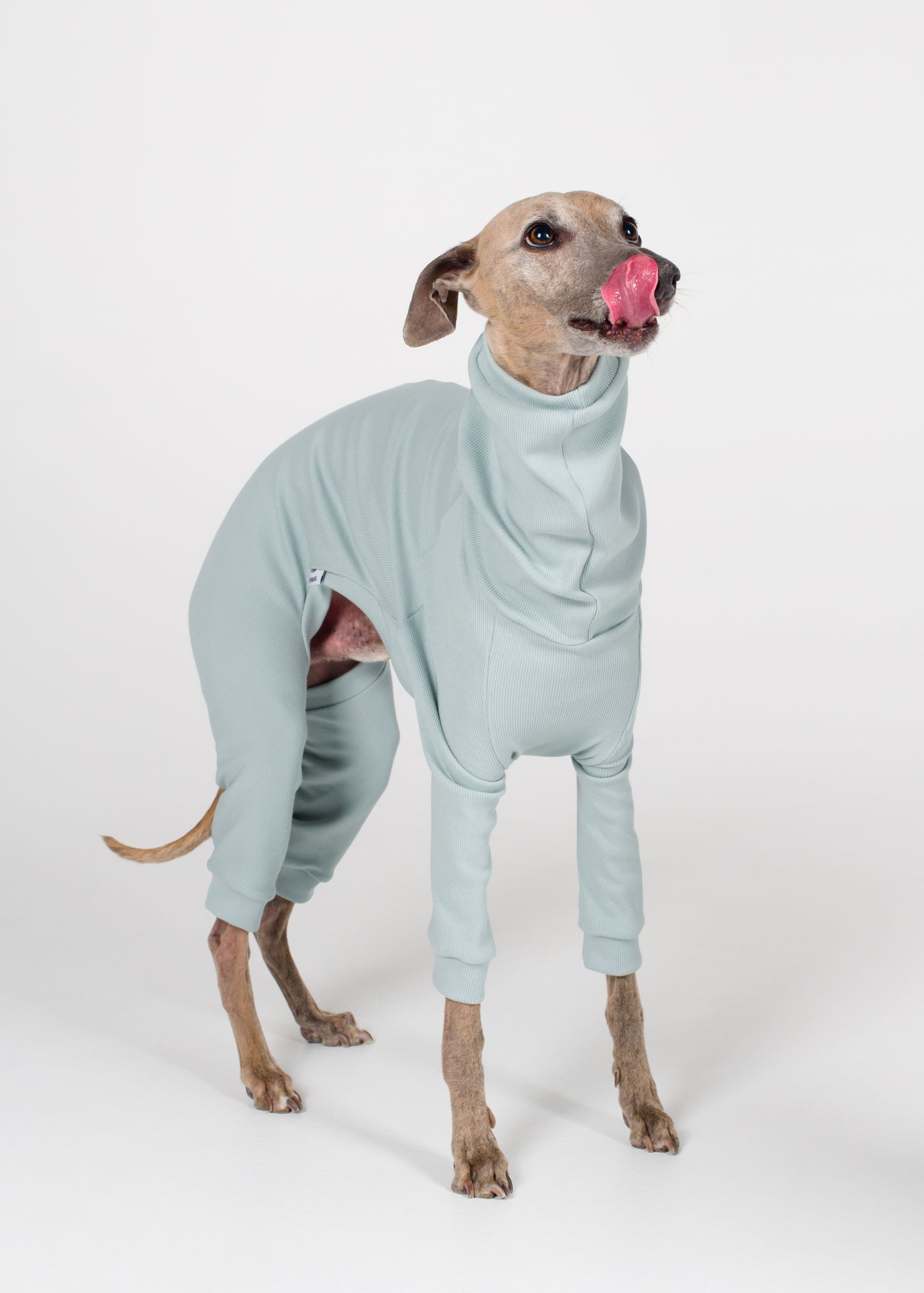 Whippet Rib Full Suit - Sky