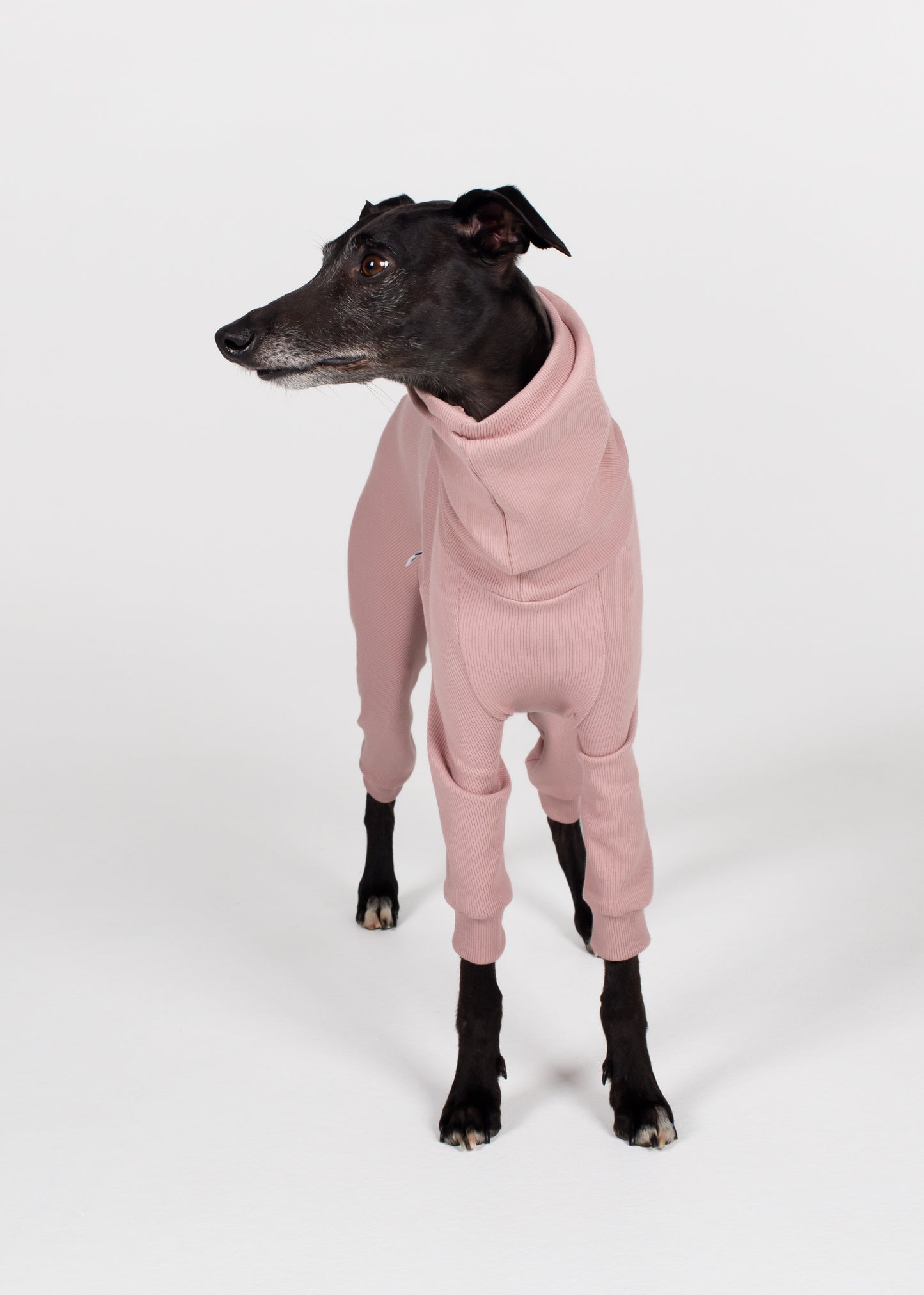 Whippet Rib Full Suit - Orchid