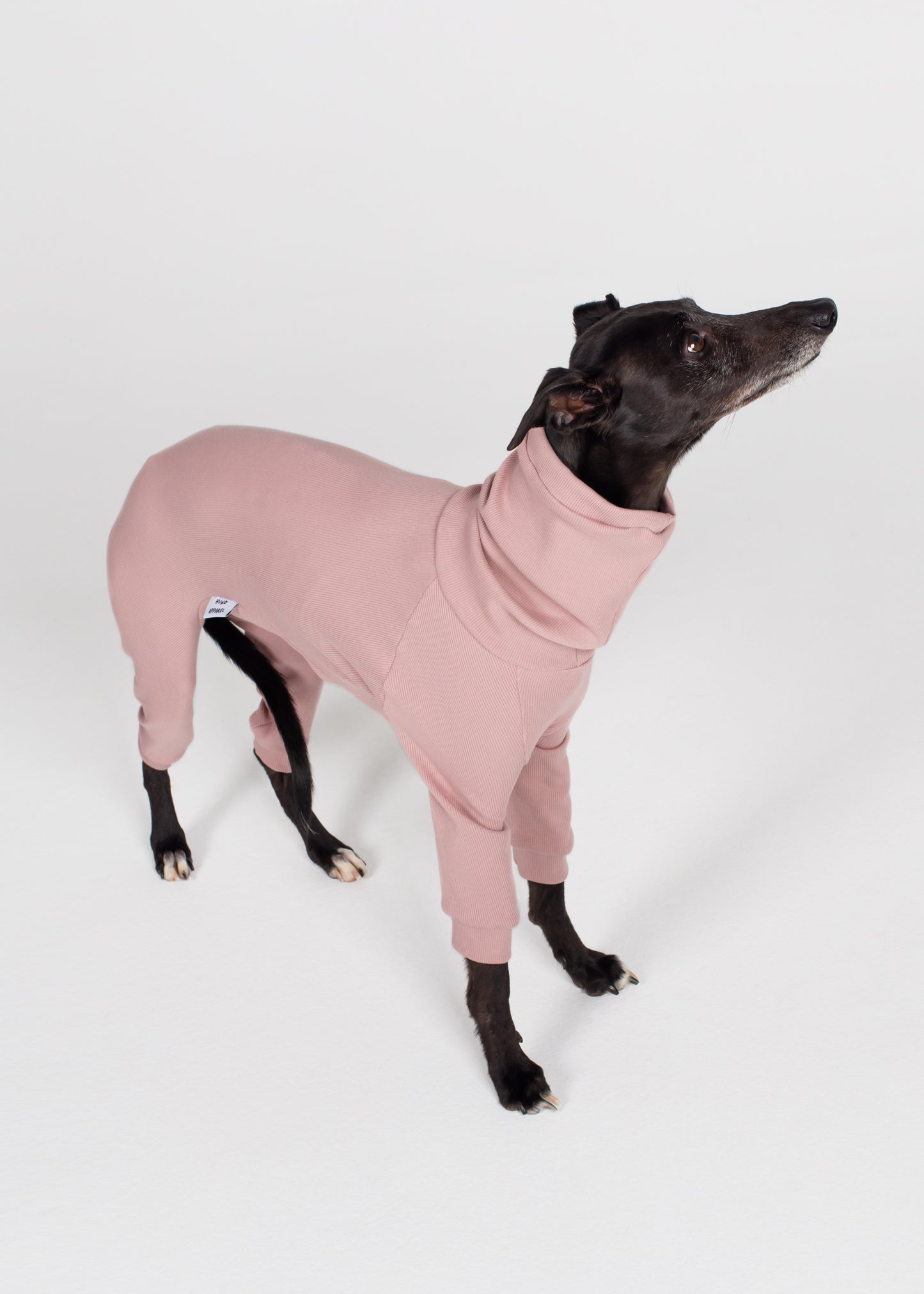 Whippet Rib Full Suit - Orchid