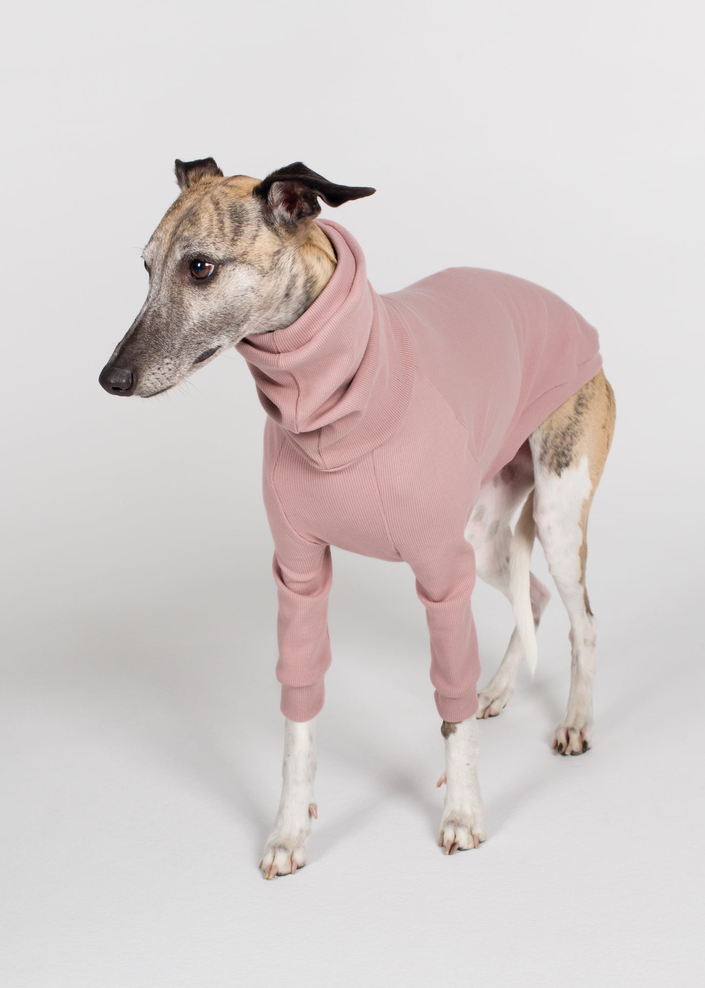 Whippet Rib Jumper - Orchid