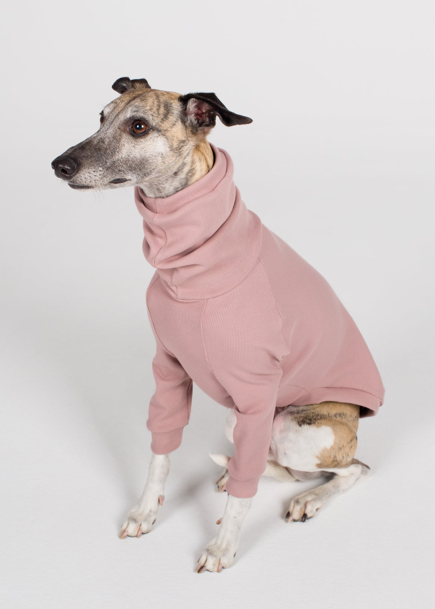 Whippet Rib Jumper - Orchid