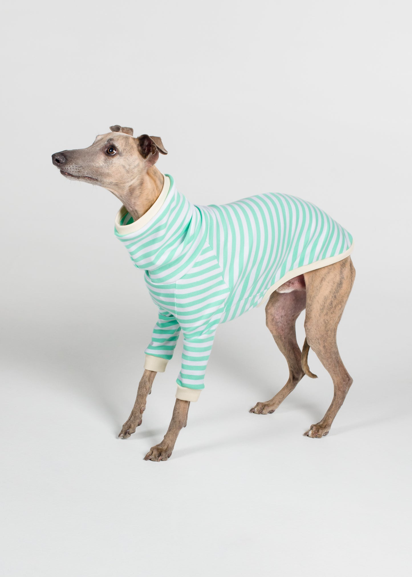 Whippet Pyjama Jumper - Mint