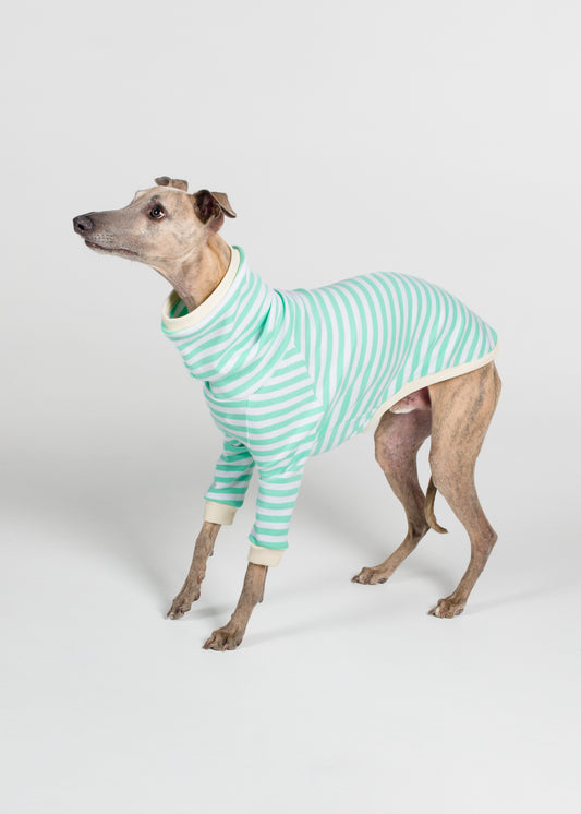 Whippet Pyjama Jumper - Mint