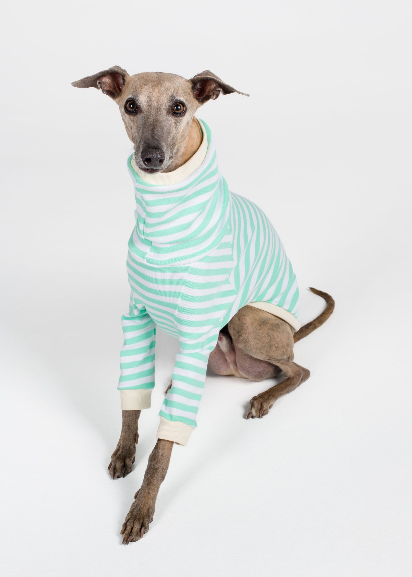 Whippet Pyjama Jumper - Mint