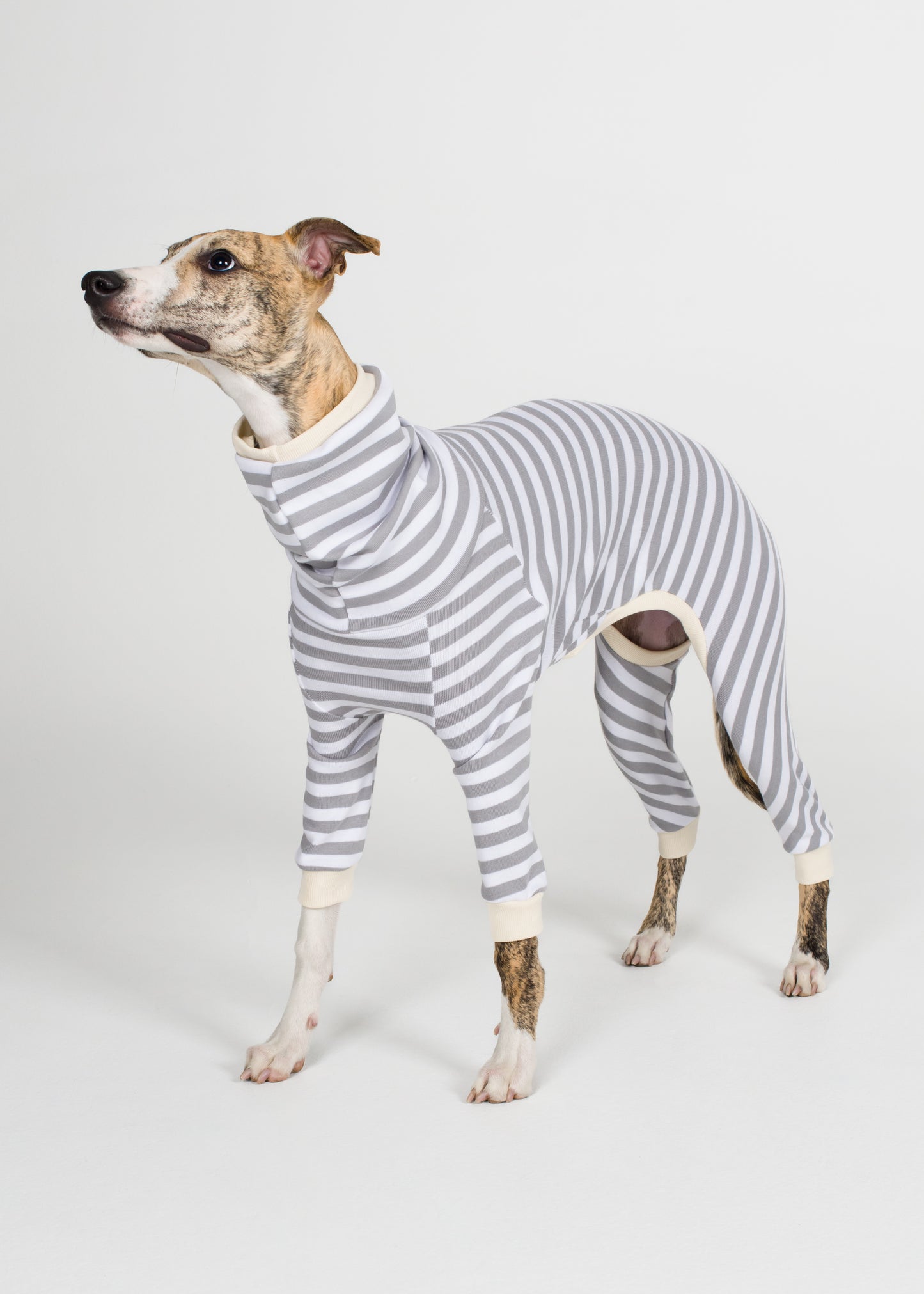 Whippet Pyjama Full Suit - Liquorice