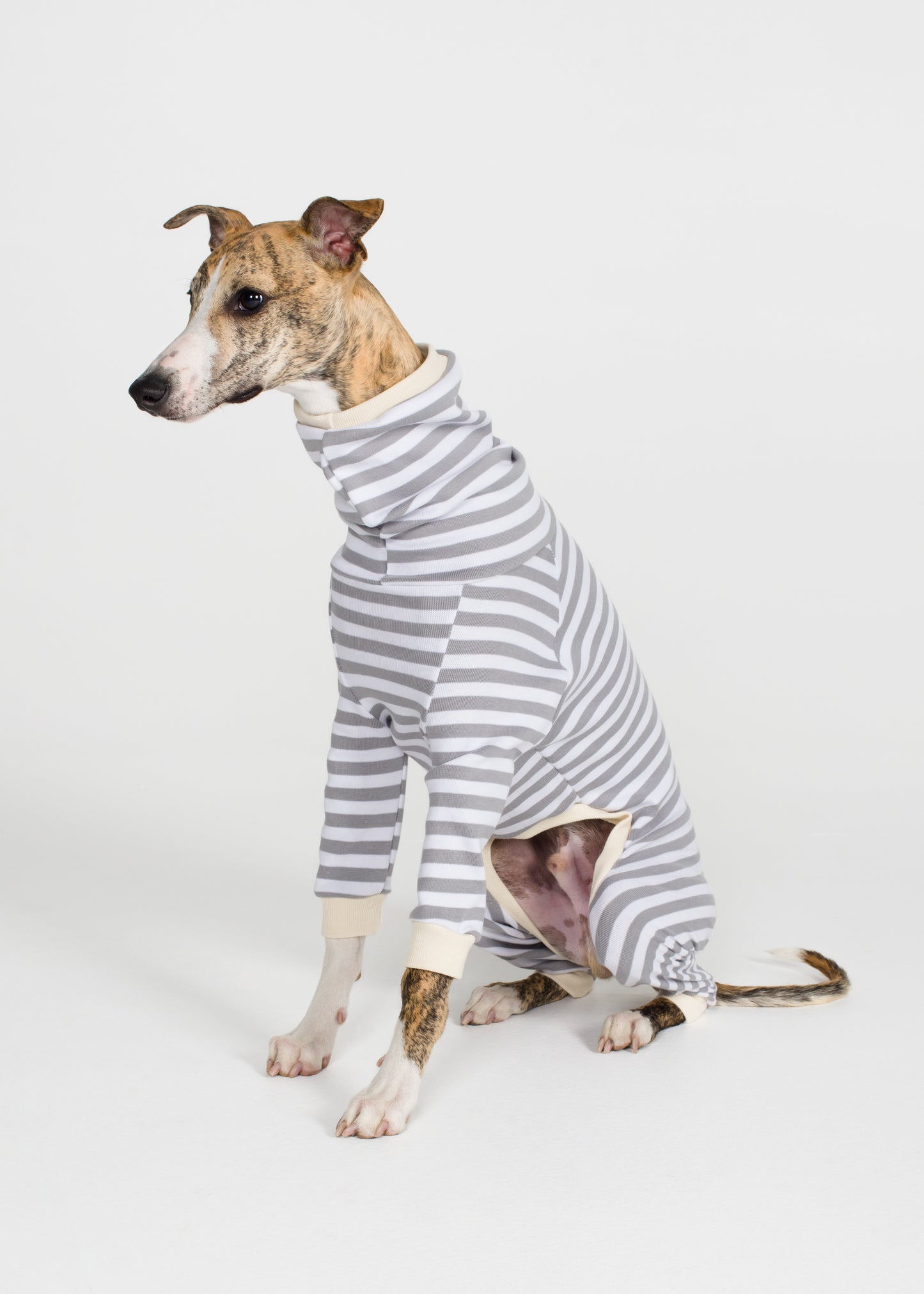 Whippet Pyjama Full Suit - Liquorice